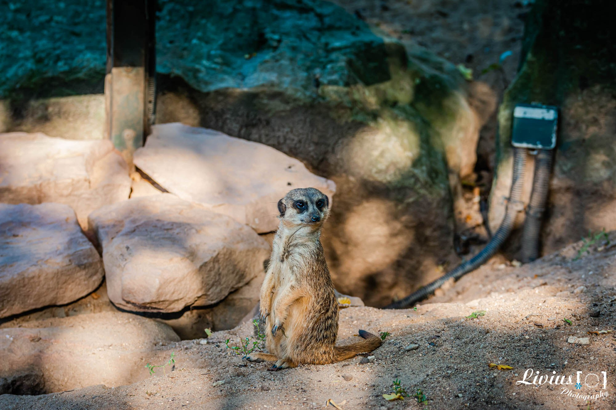 Tierpark Nürnberg. FOTO KREATIV