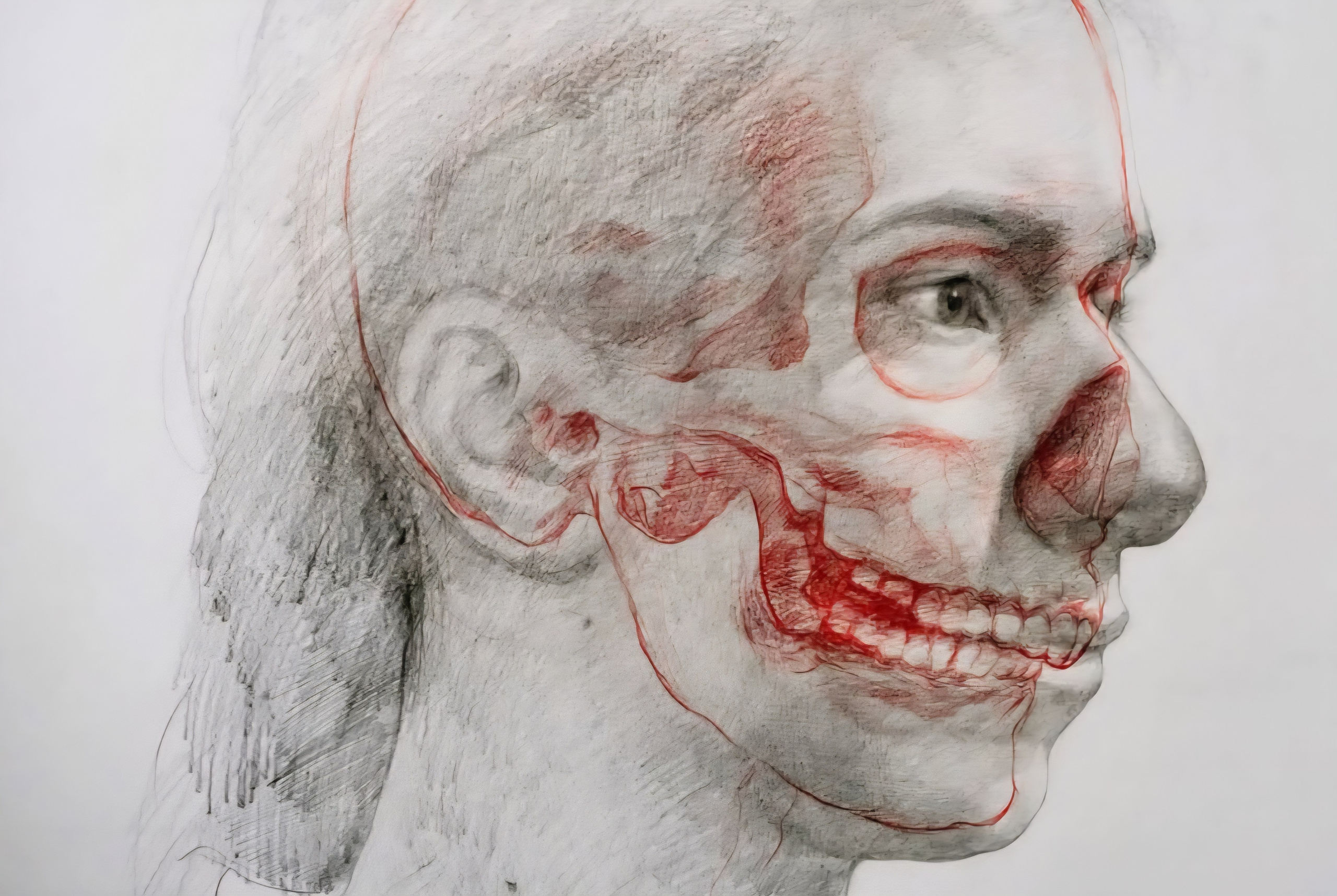 Um Olhar para Além da Morfologia. Barbara Cabral