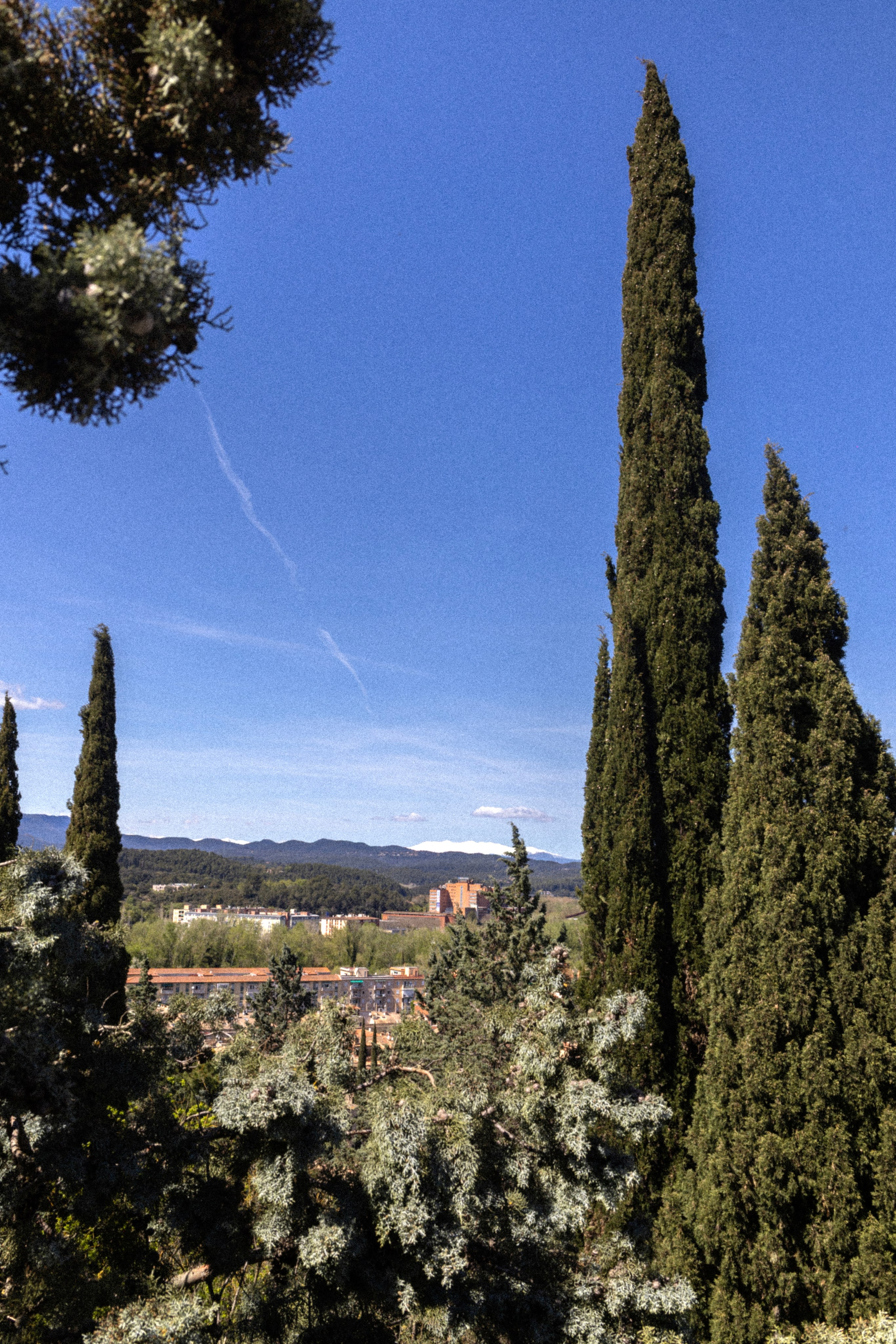 El toque de Gerona. Vladislav Makarov. Portrait & Street style photographer in Baku