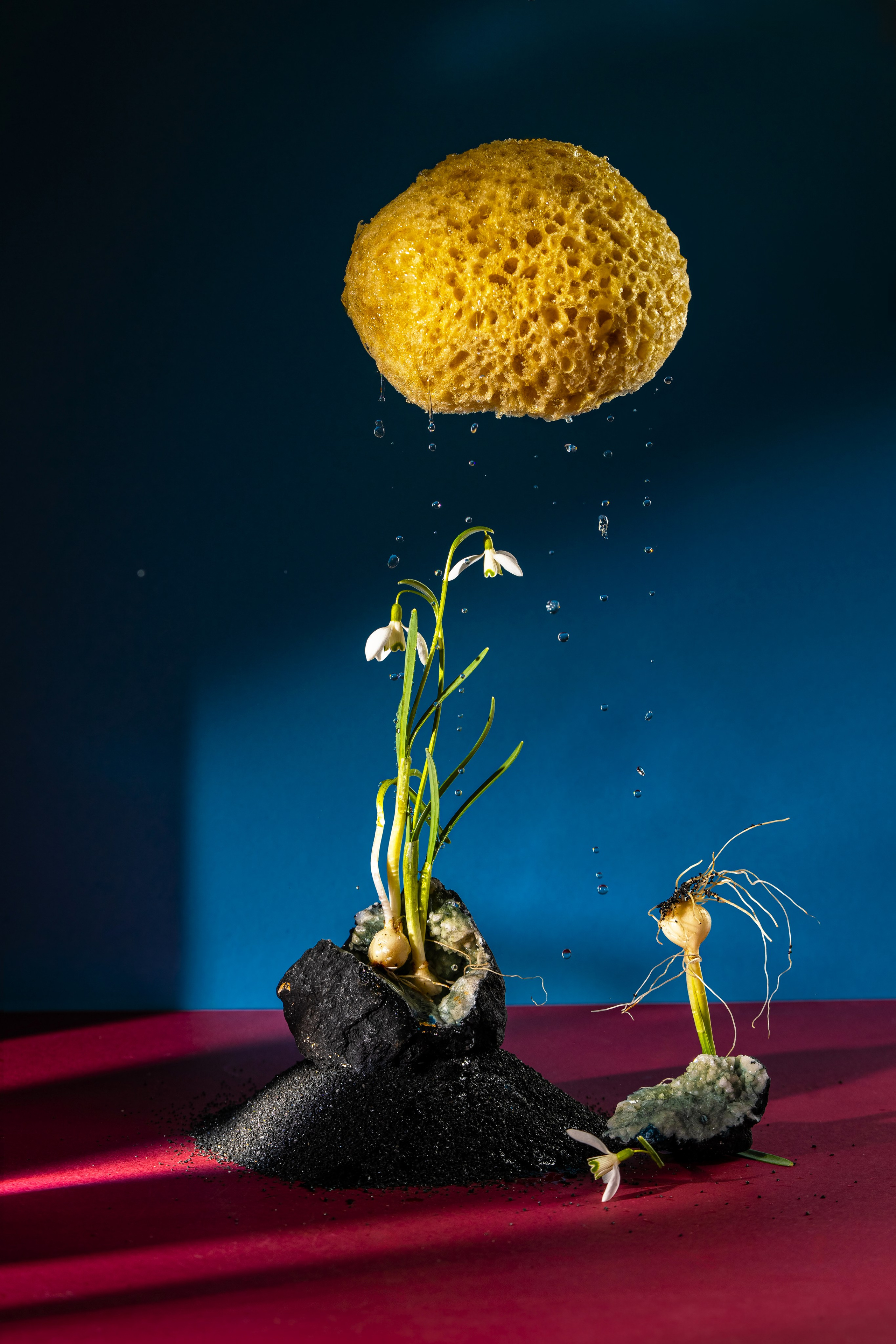 Food photography. Food Photographer in Riga, Latvia. Restaurant, Menu, Brands Photos