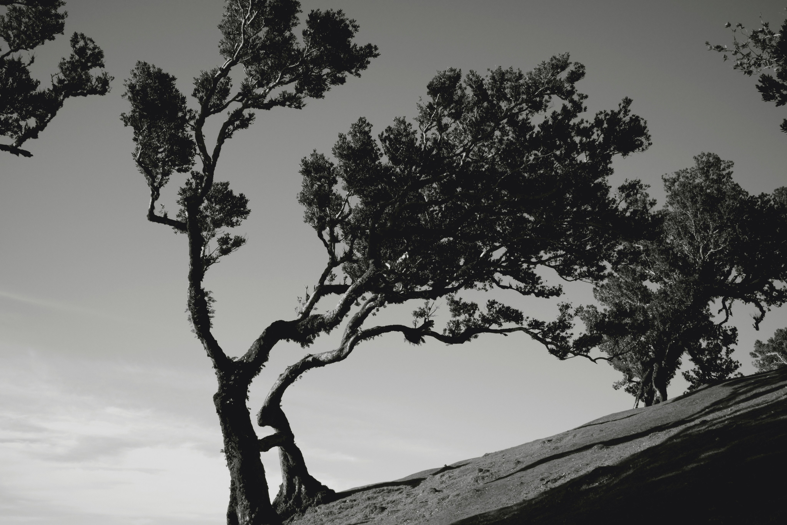 Wanderlust / Film photos. Fotografia personalna i fashion dla marek i agencji modelingowych. Warszawa, Europa. Yaroslav Storchak