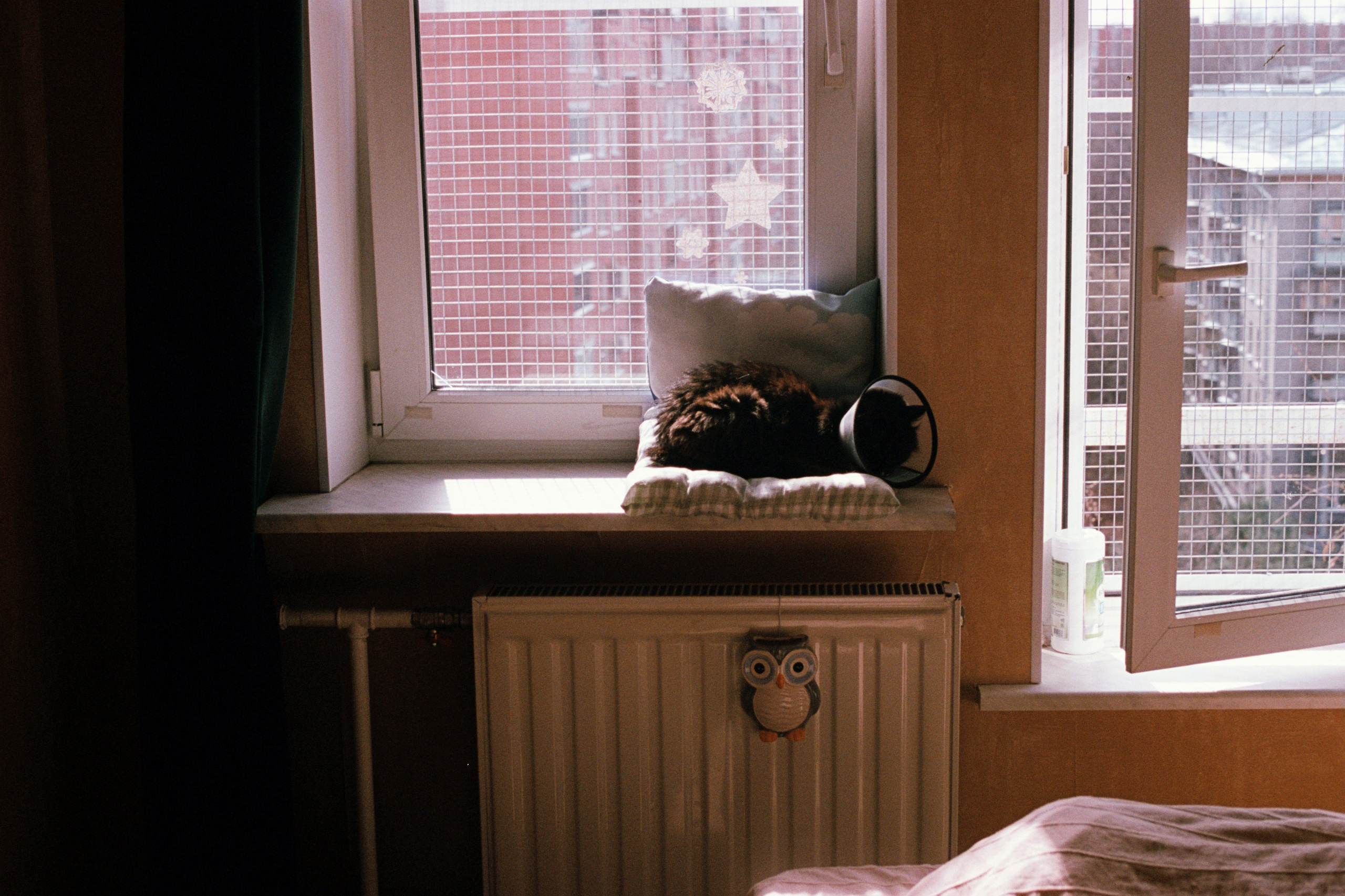 Saint-Petersburg (2020-2023)_2. Elena Zykova film photographer in London