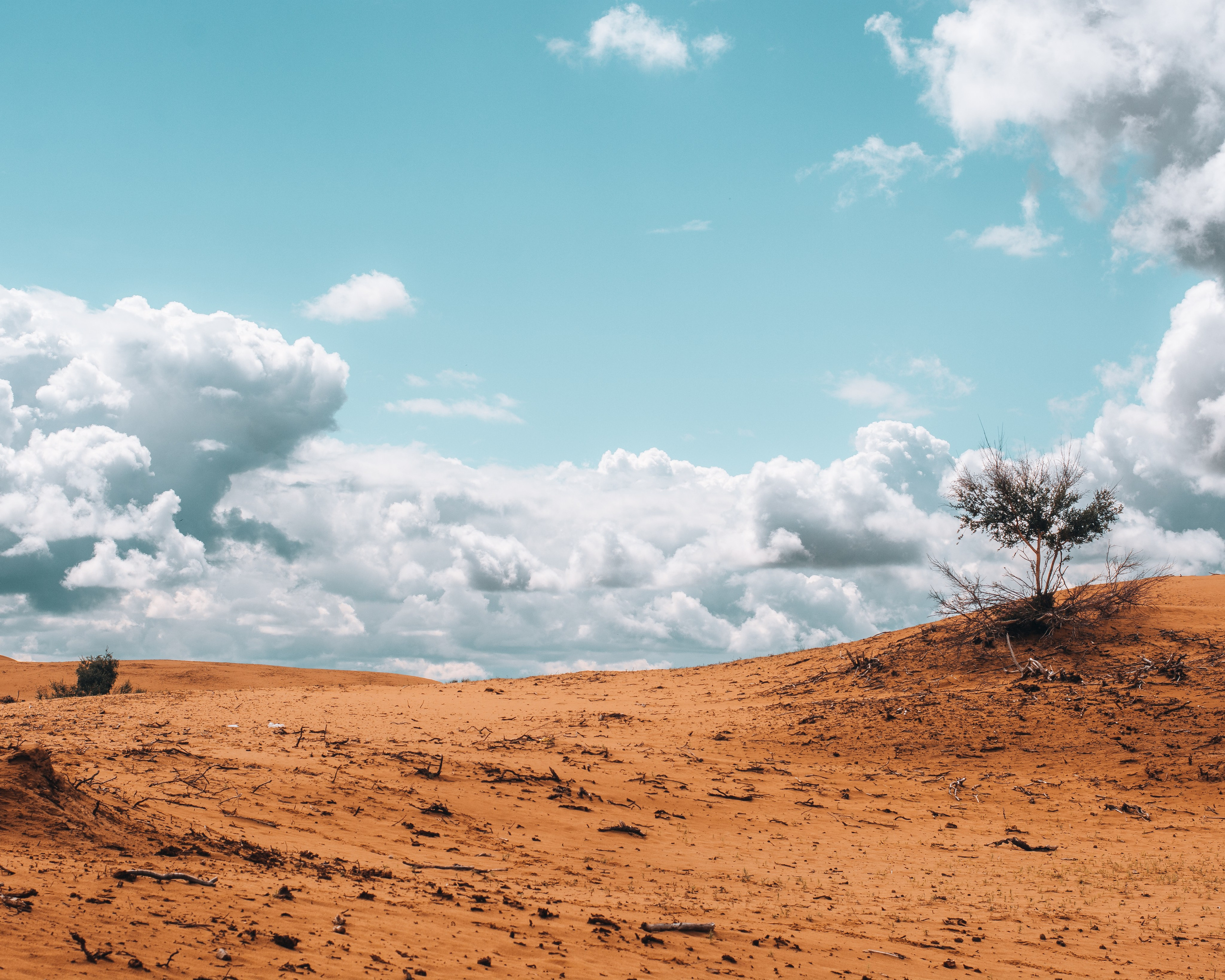 Photography. ODIX Creative