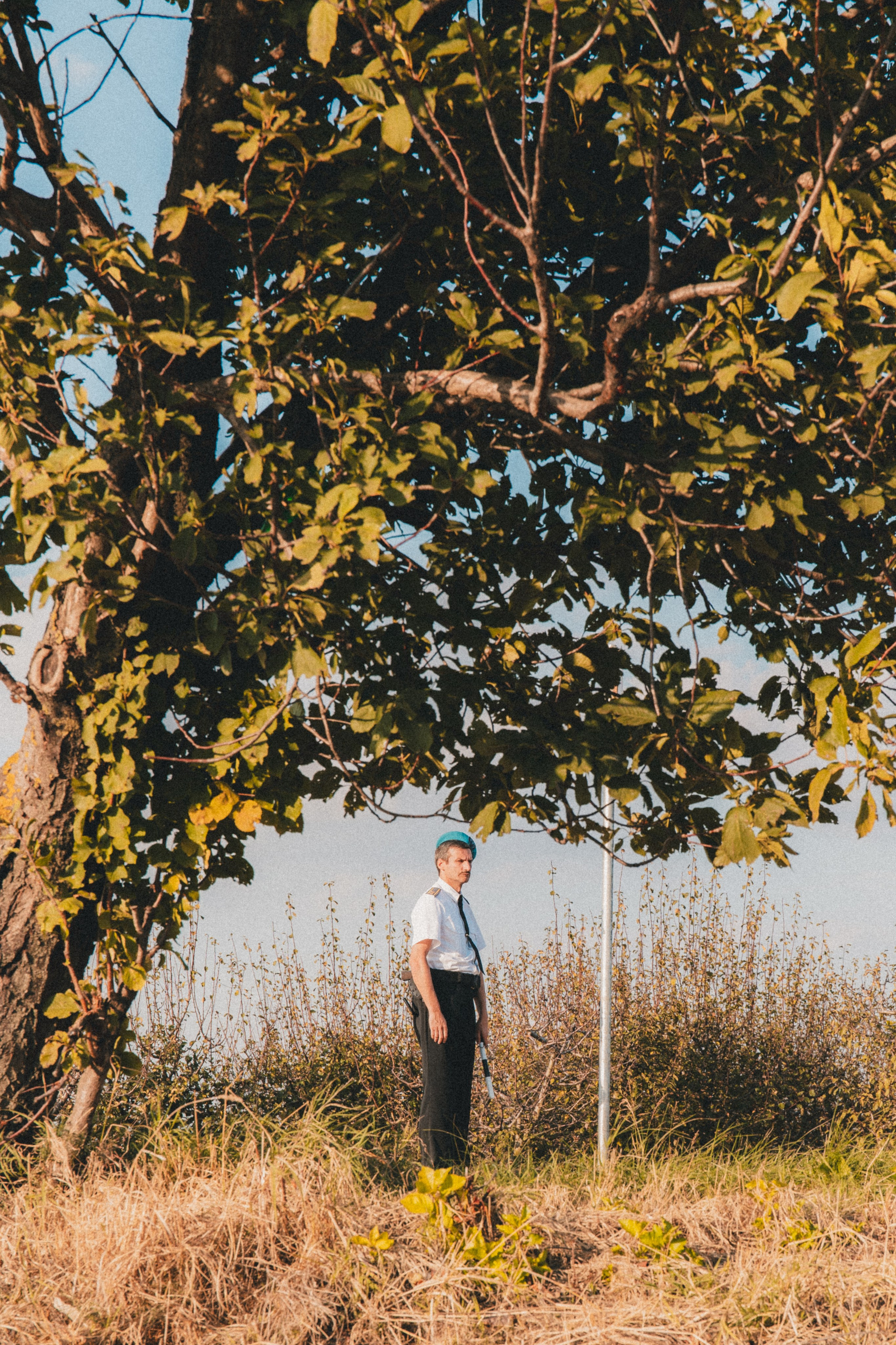 BetBoom. Фотограф Инна Гайнулина