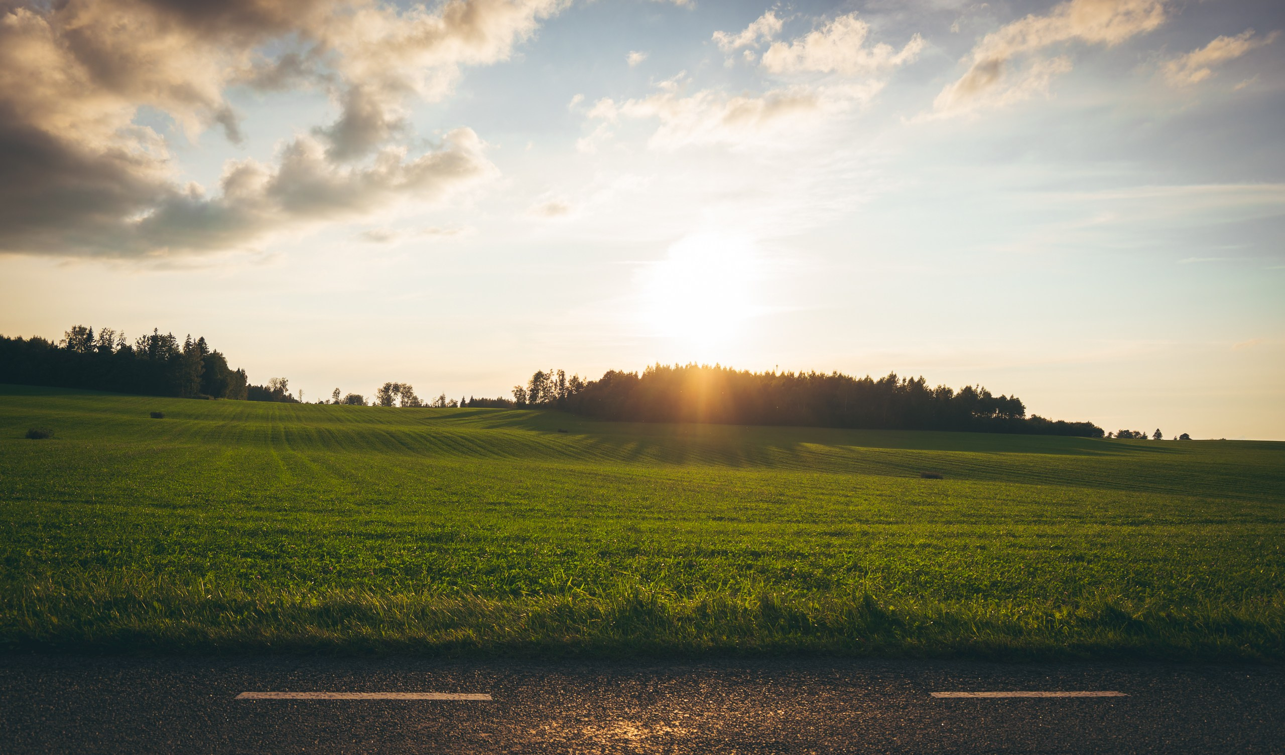 Nebula 25 — Фотографии для вашей души