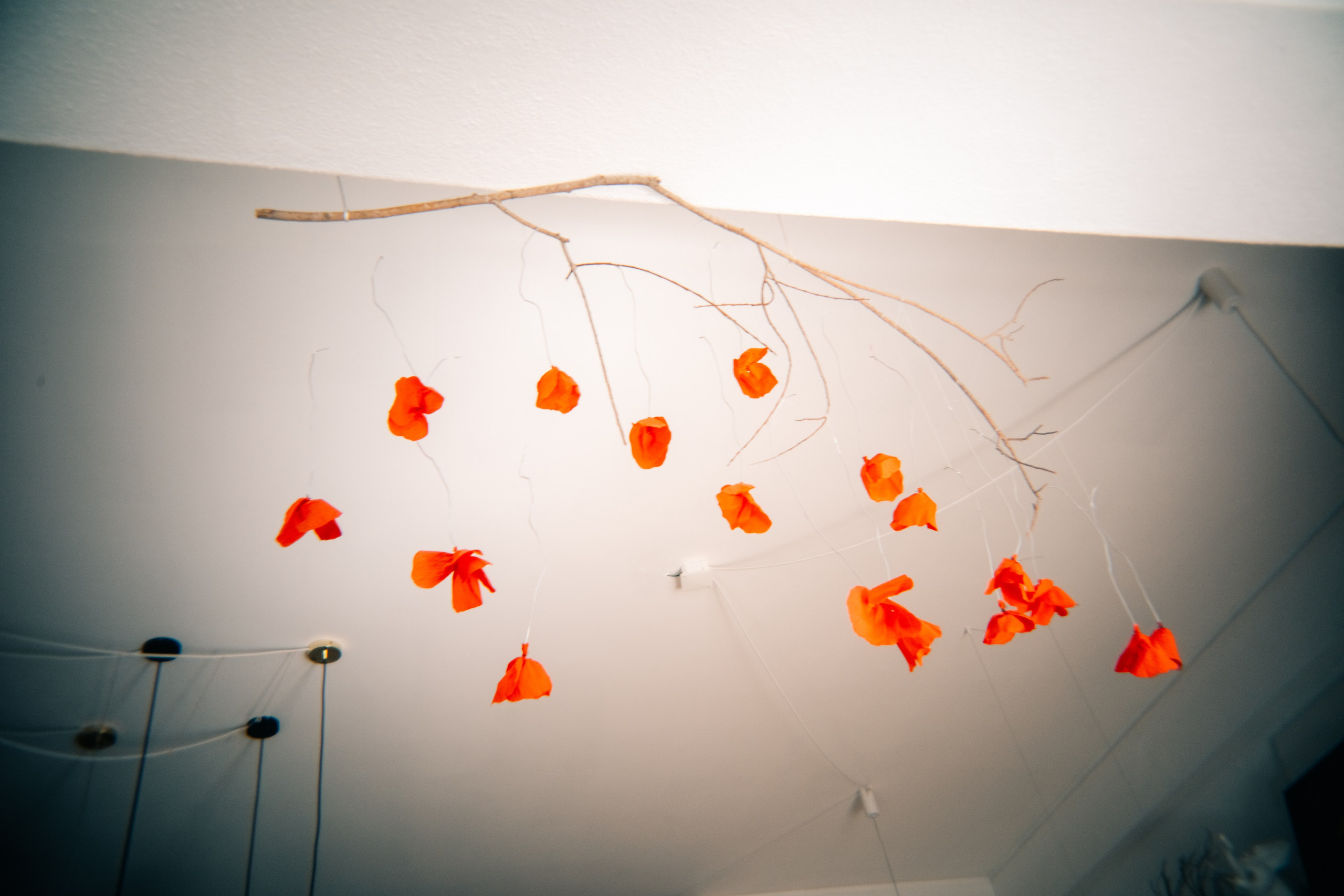 Svet Space. Maria Sher. Fotógrafa profissional do Porto, Portugal