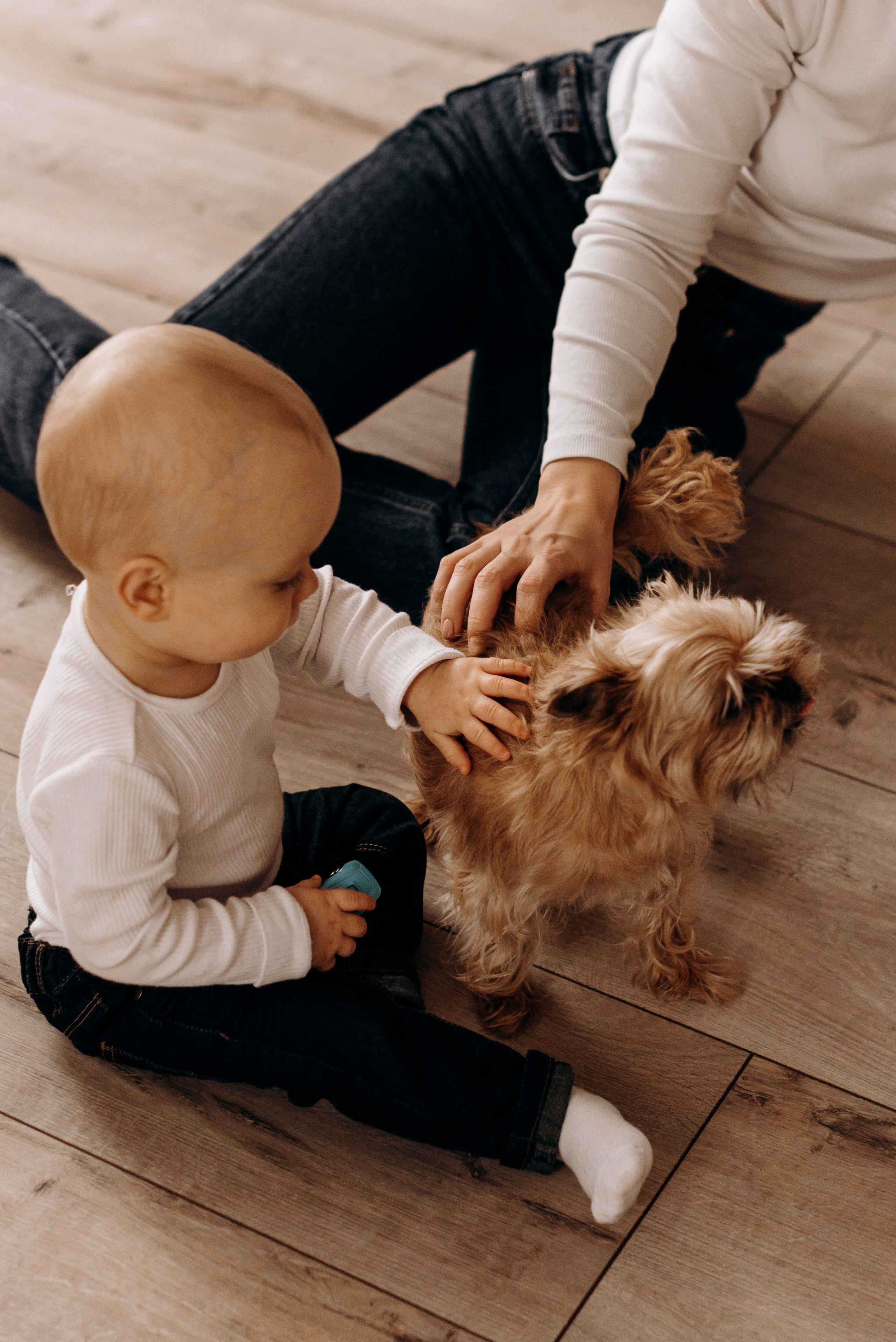 *. Wedding and family photographer San Diego