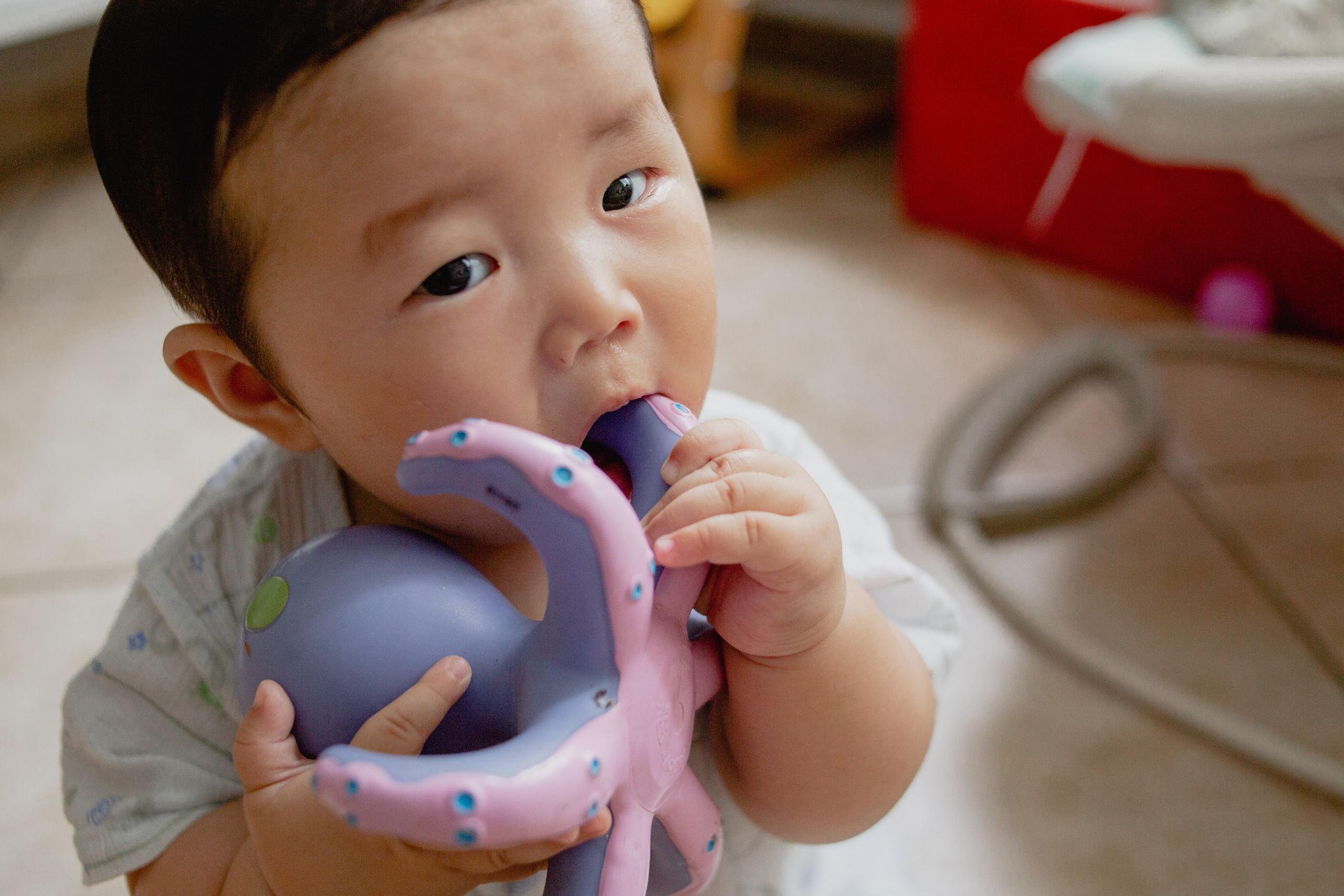 Documental Família Shimizu