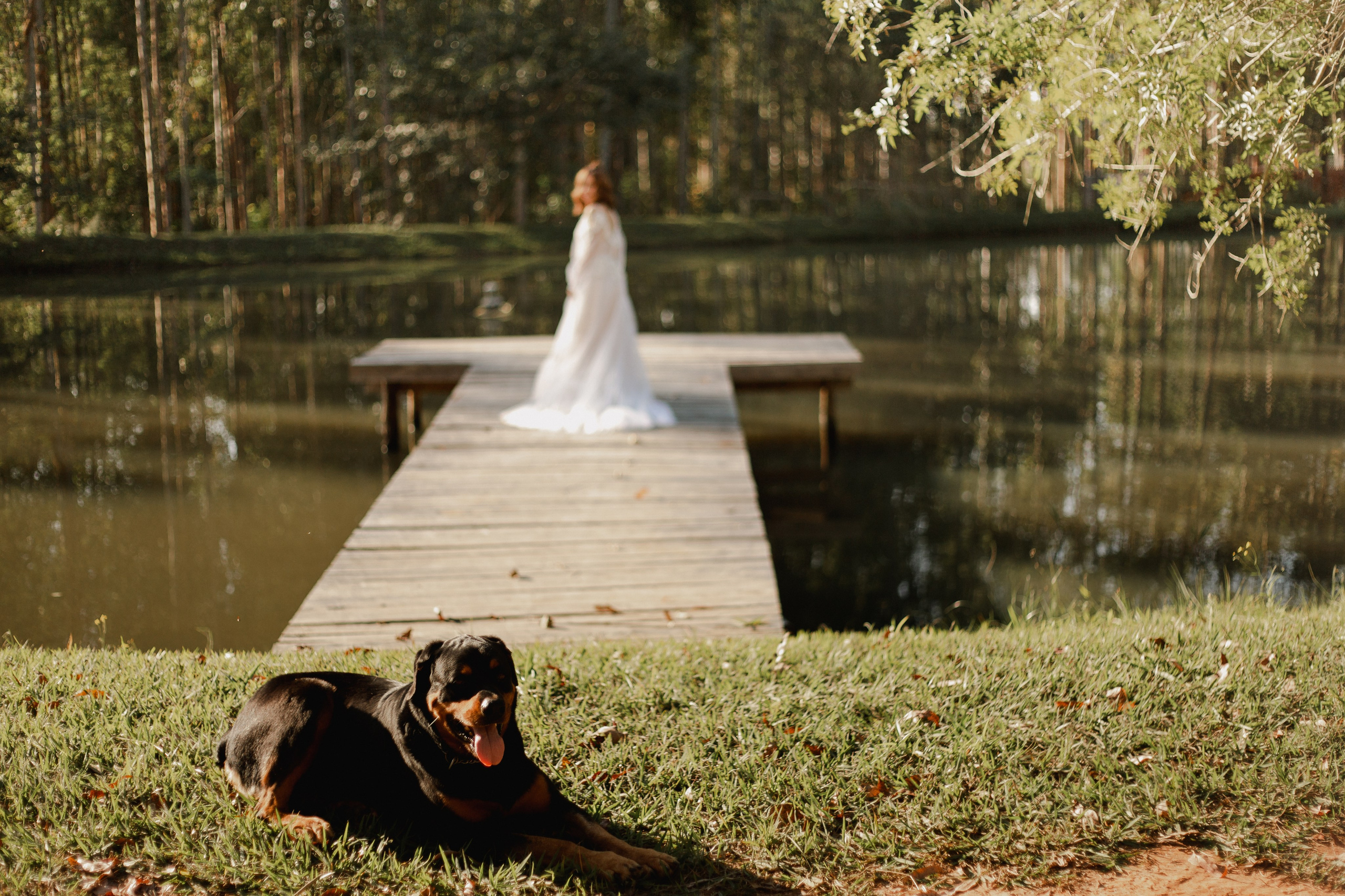 Editorial — Estância Jatobá