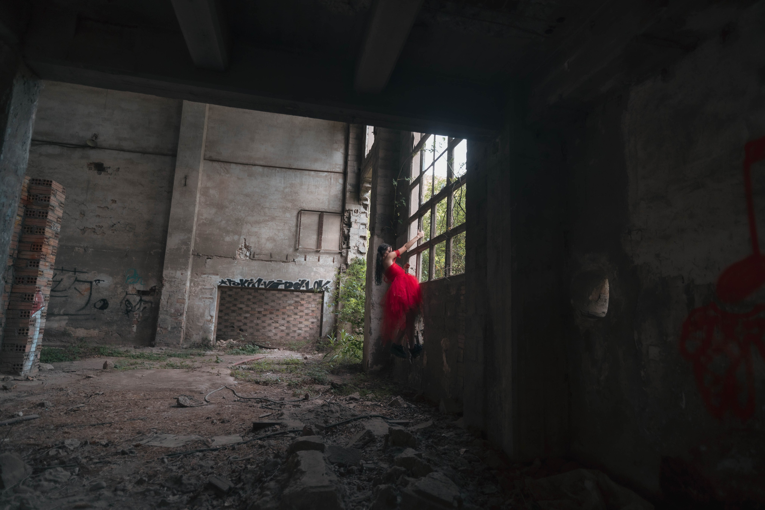 Dani. Alba del Norte Studio