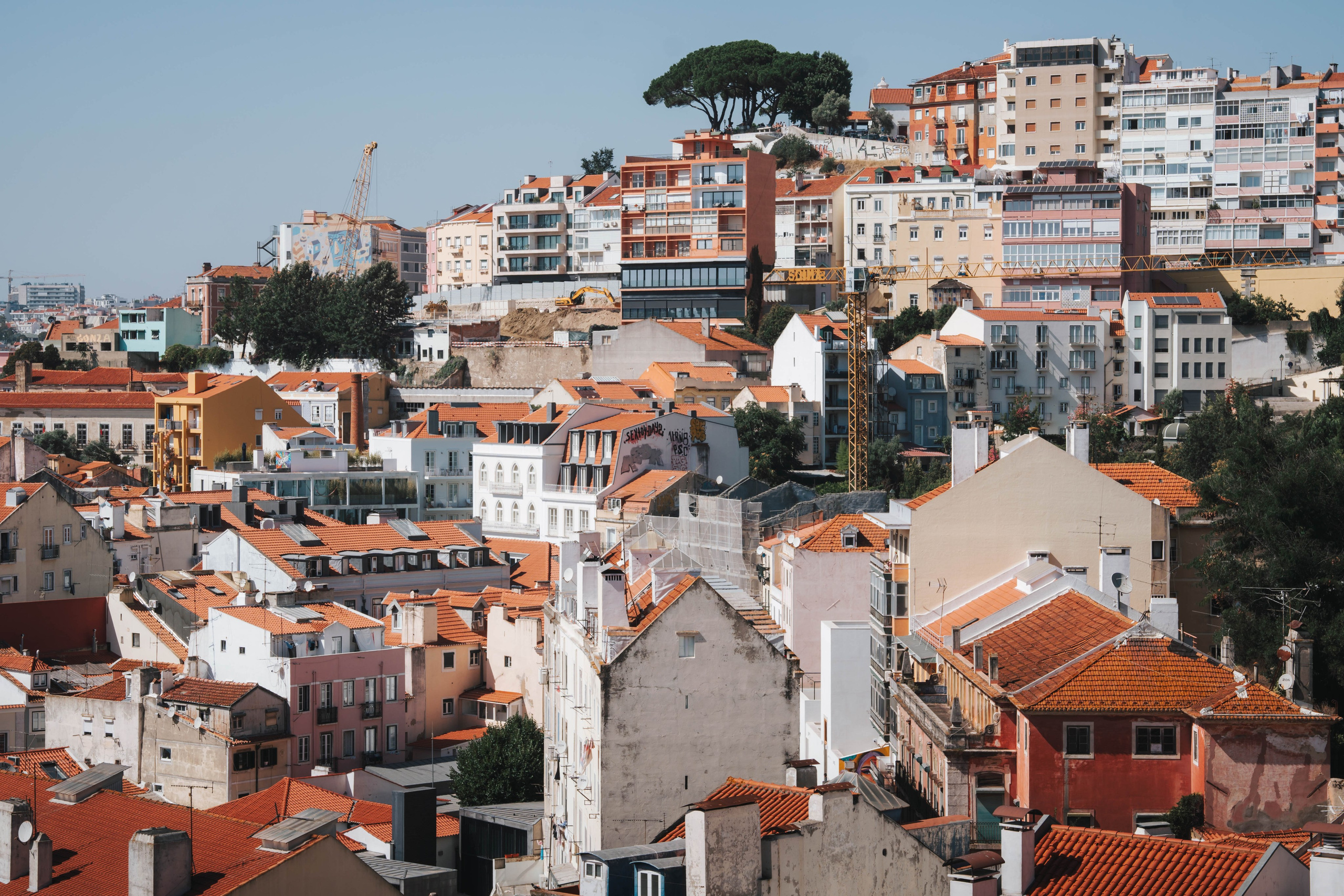 Lisboa, Agosto 2024. Alba del Norte Studio