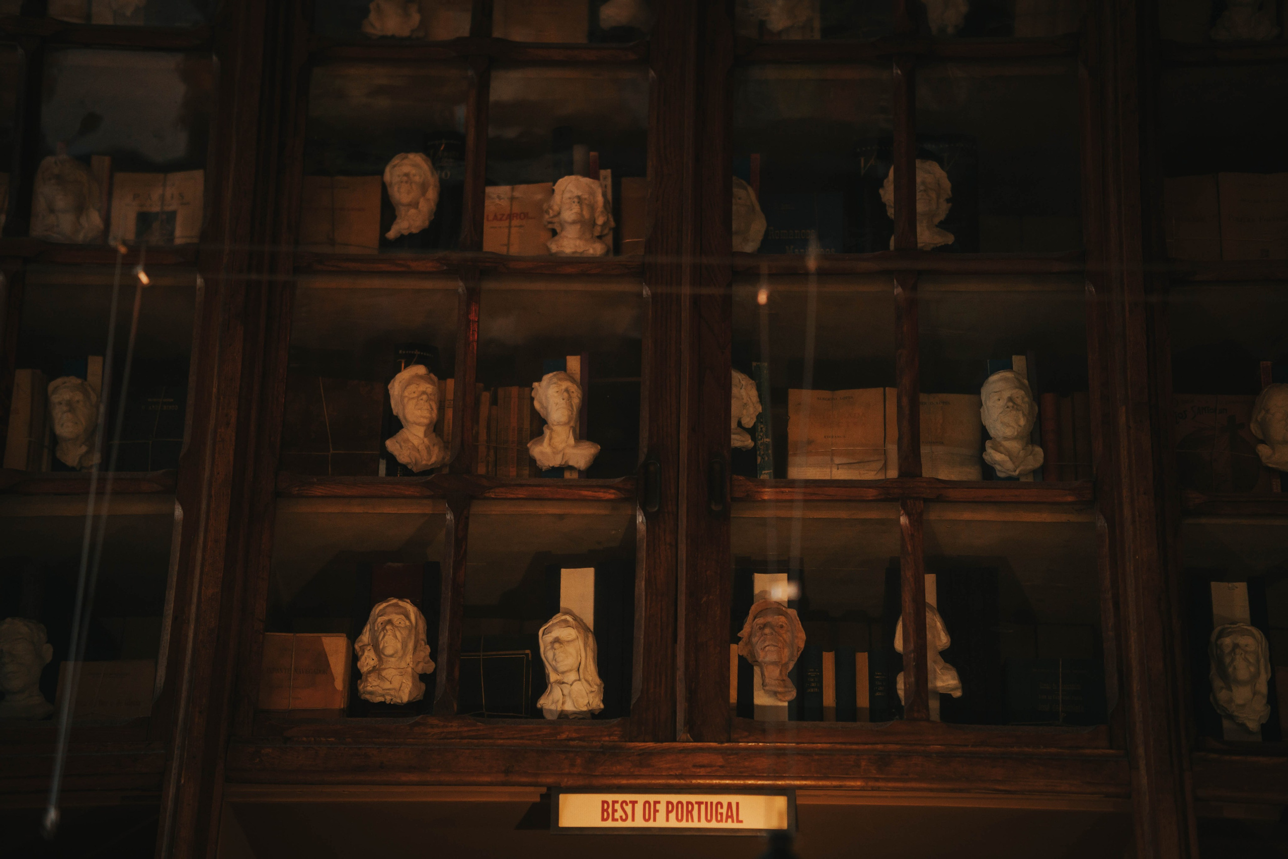 Librería Lello, Porto. Alba del Norte Studio