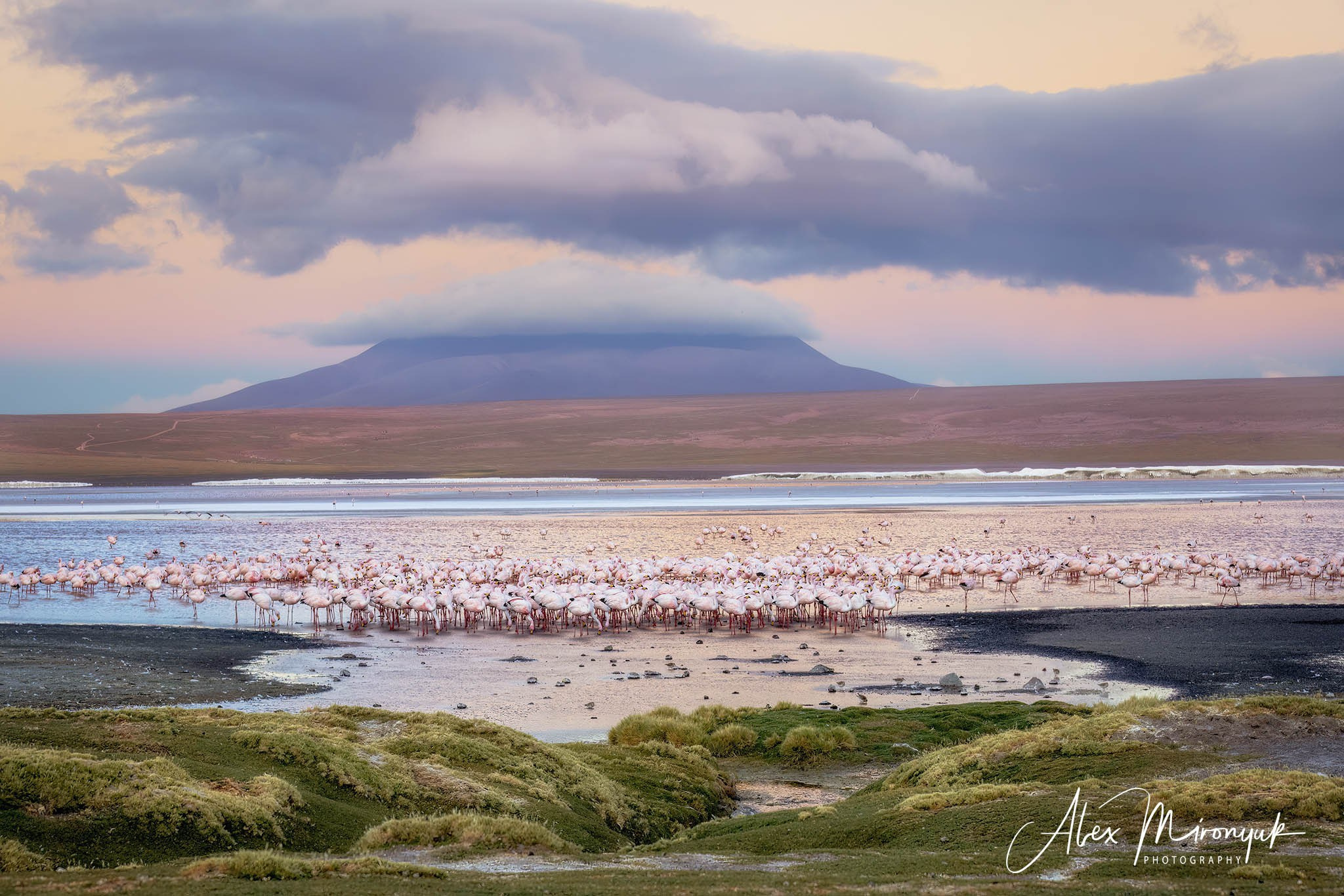 Bolivia Adventure — 2025. Pet, Senior, Landscape, portrait studio, photographer in Miami and Sou