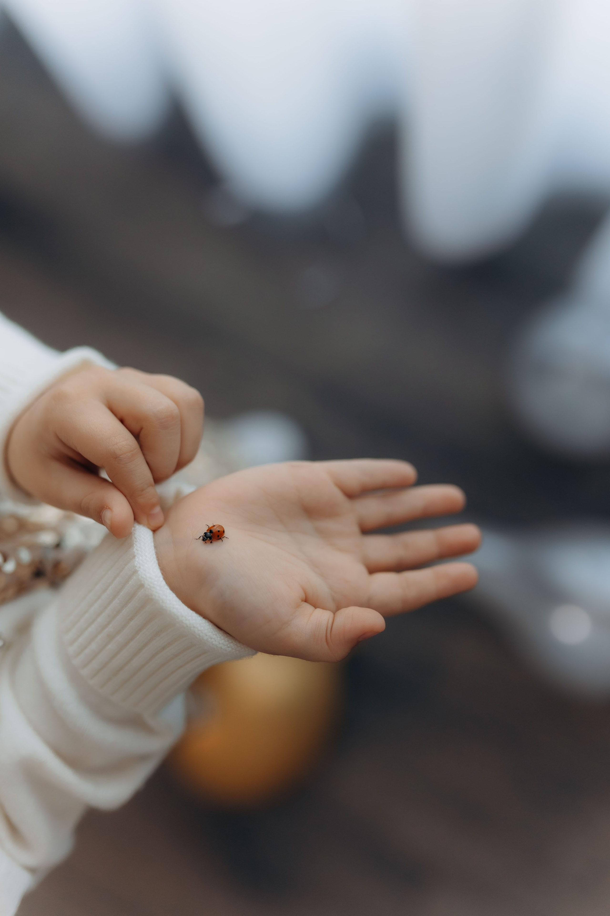 Povestea voastră, regizată de noi |Cristi Turculet Videograf Nuntă Suceava | wedding highlight. Servicii foto-video profesionale, pentru momente de neuitat