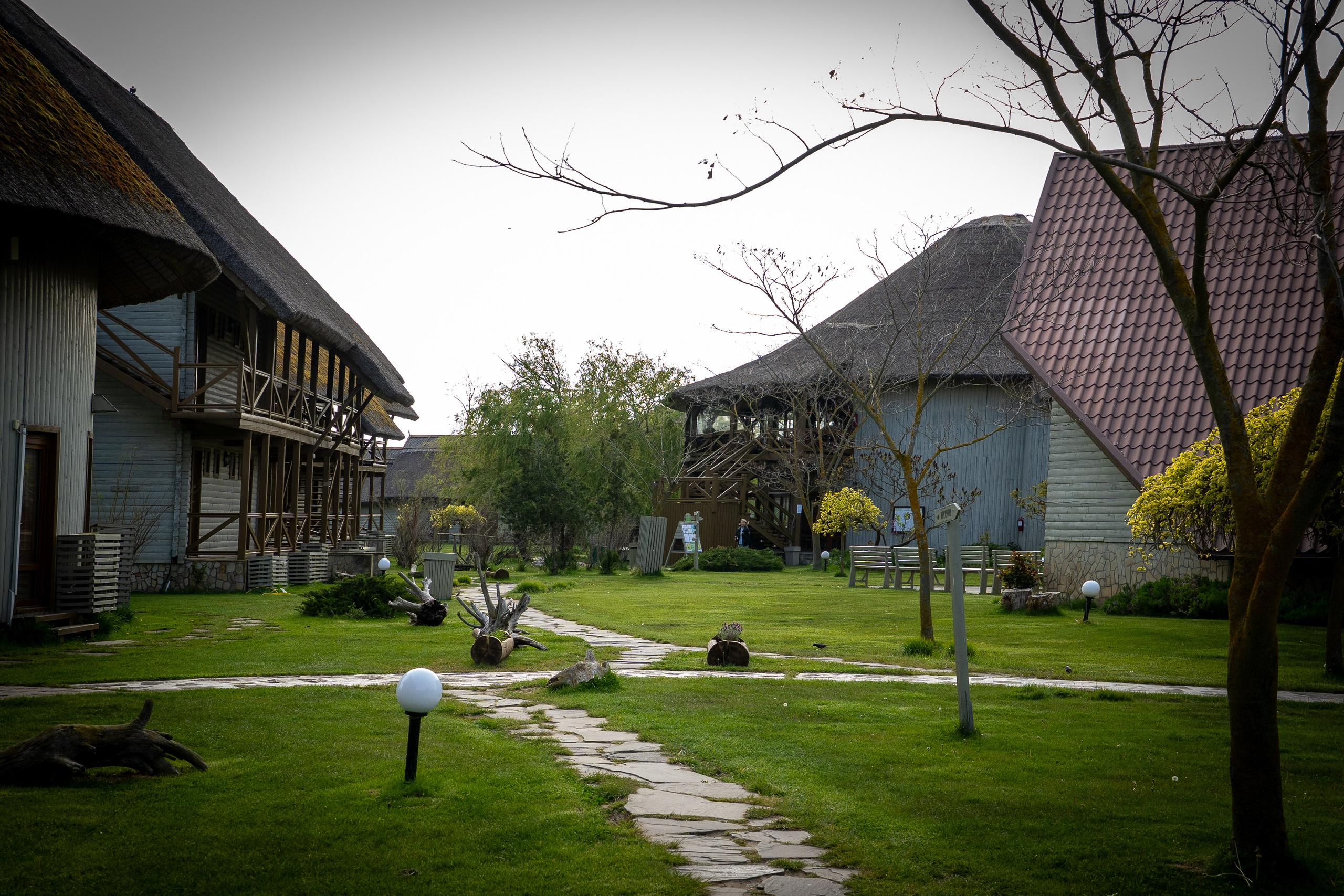 Green Village. Creste si calatoreste