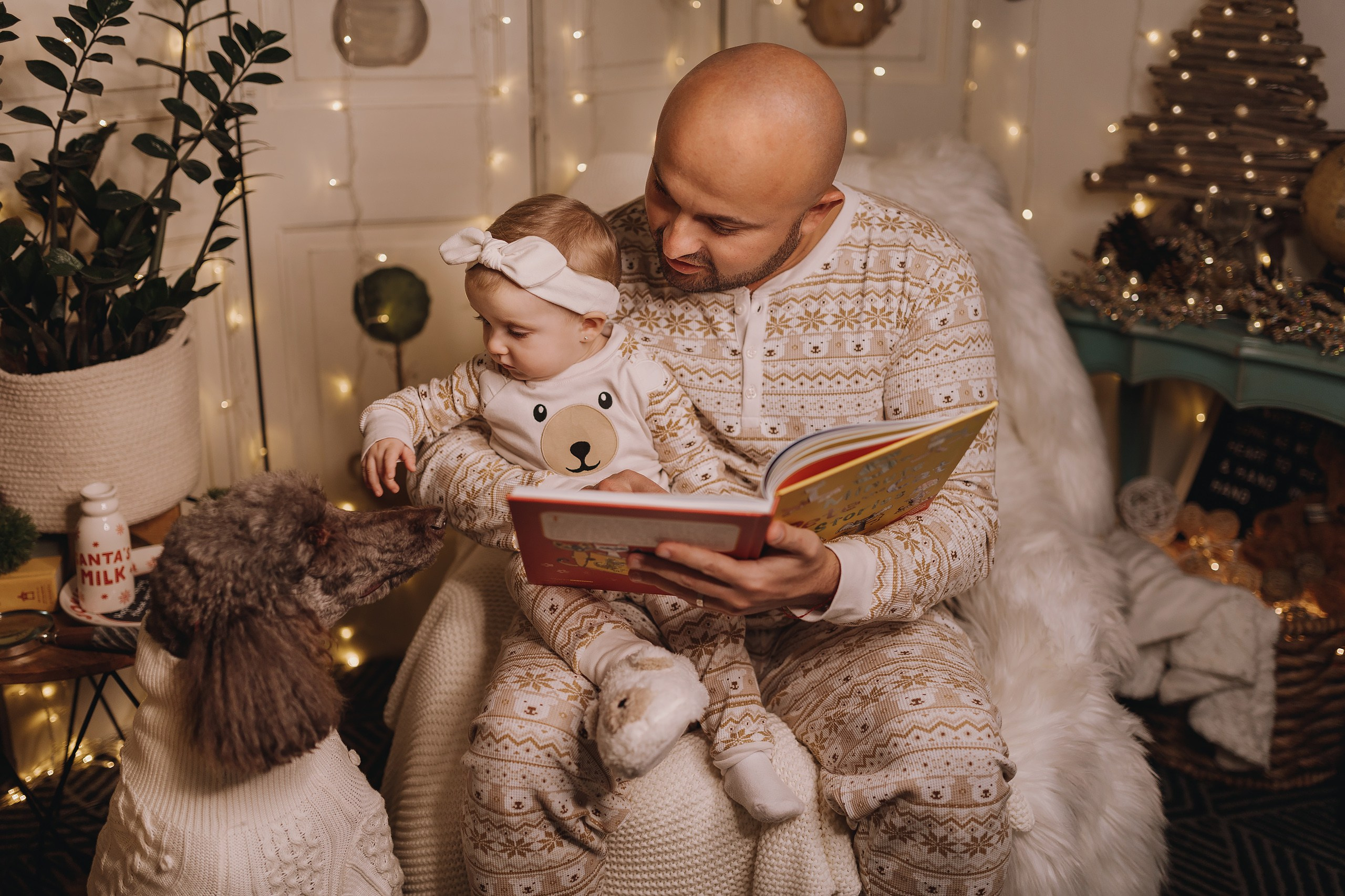 09.12.2023 Christmas Photoshoot. Wedding family event photographer in Chicago Nick Yushevich