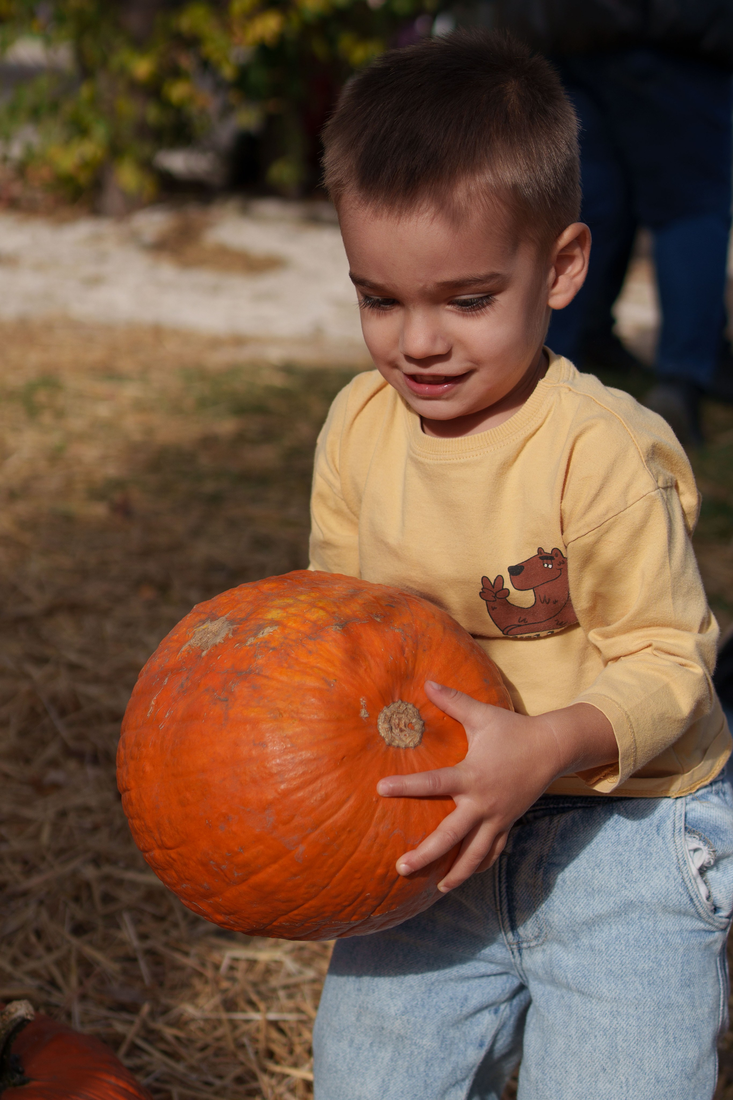 Vlad si Alex. Fotografiideplacere.net