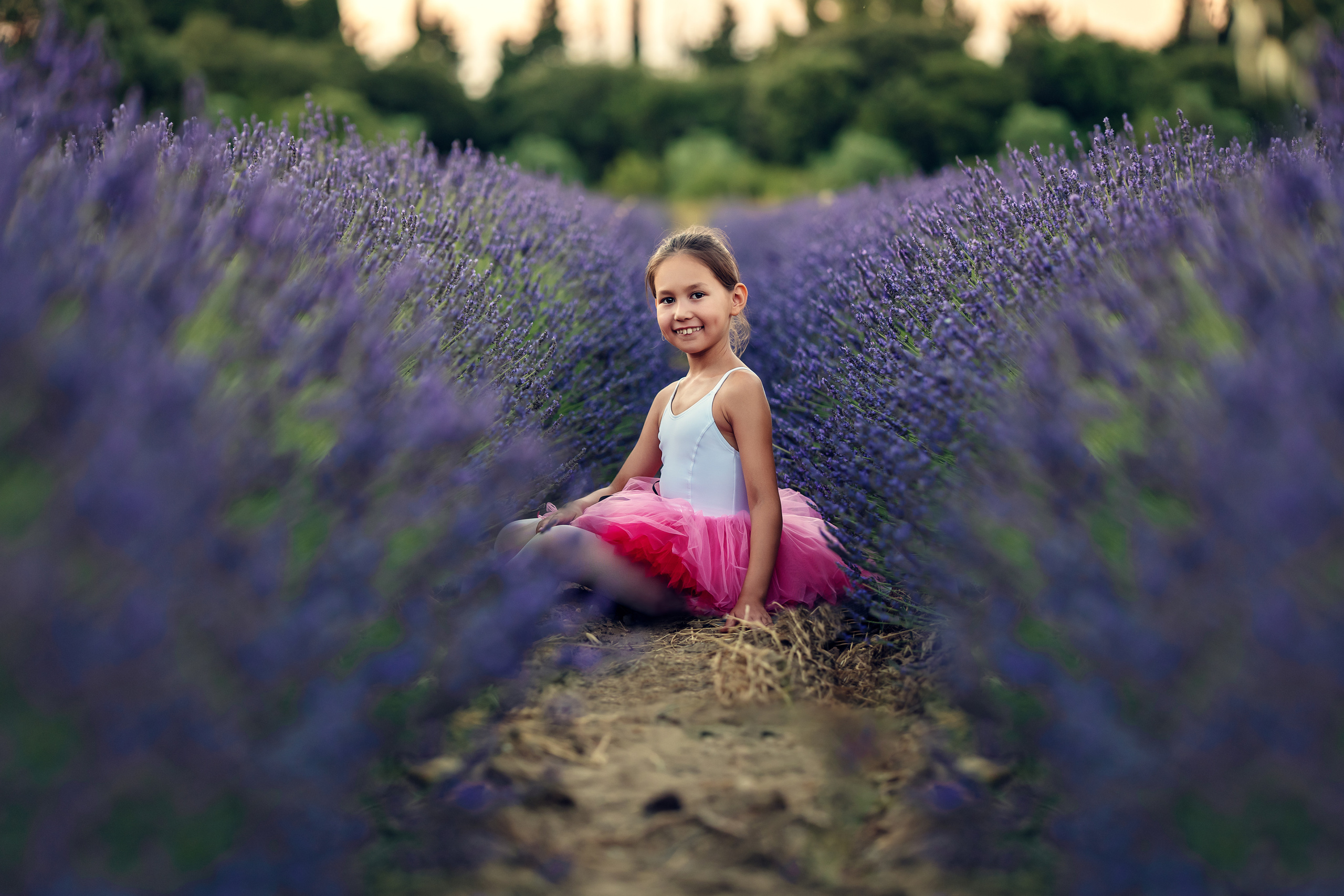 Mini shooting photos dans la lavande. Photographe et retoucheuse des images des produits à Avignon en France