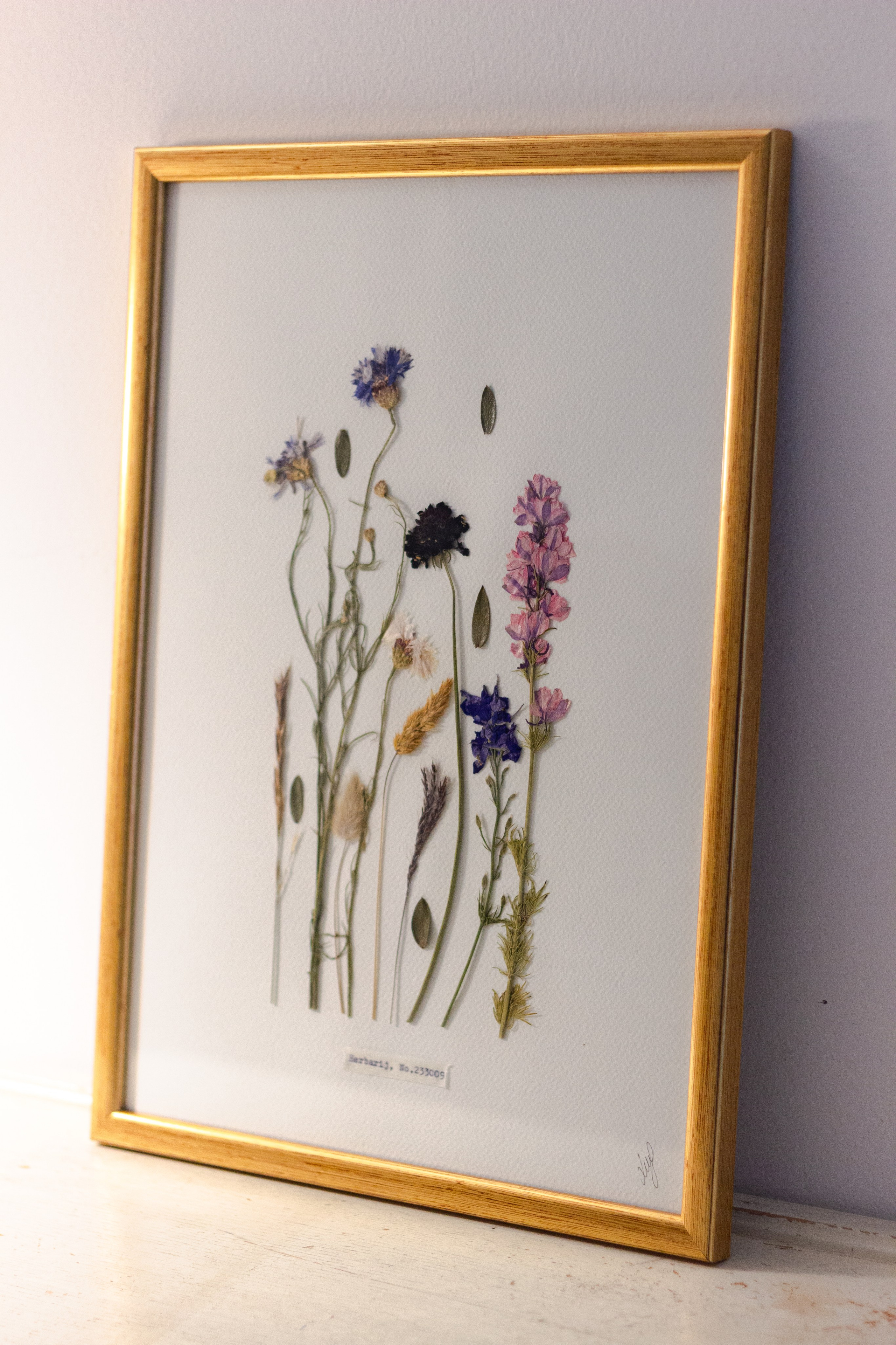 Herbarij, presa, okvir, slika, ručni rad, herbarium, art, umjetnost, home made, artistic