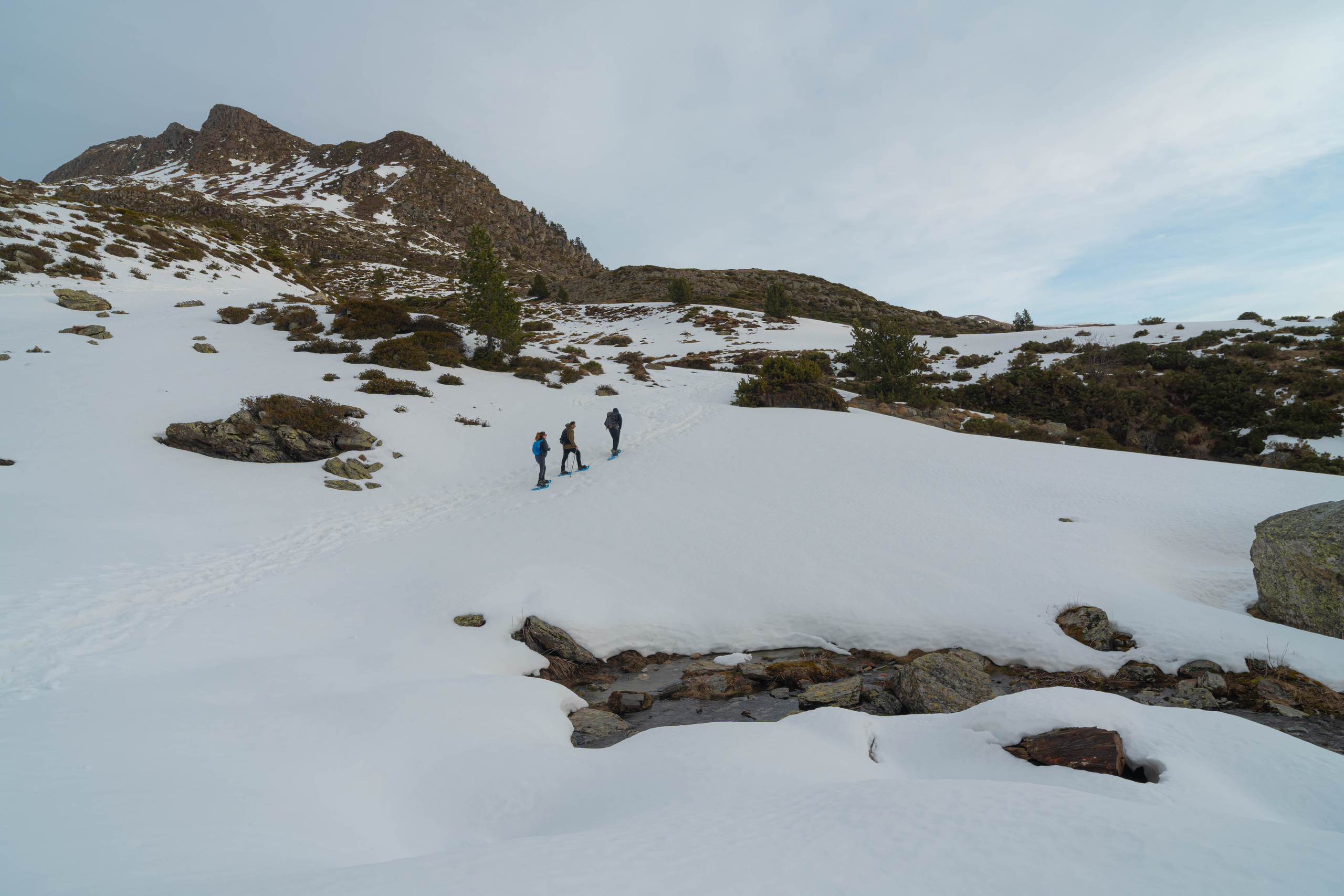 Ruta Comas de Fort. Alba del Norte Studio
