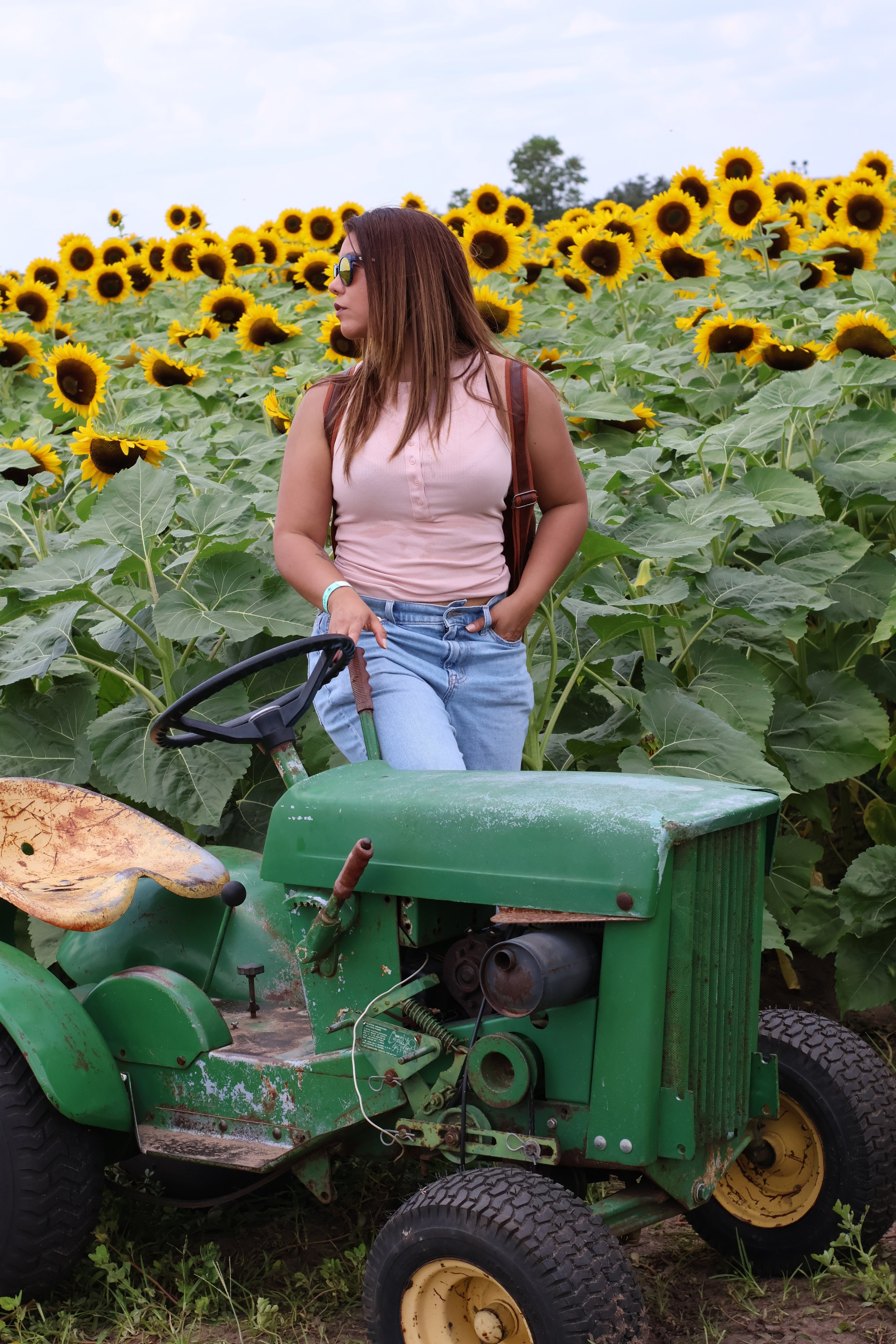 SUNFLOWERS. Workmakeapp Studio