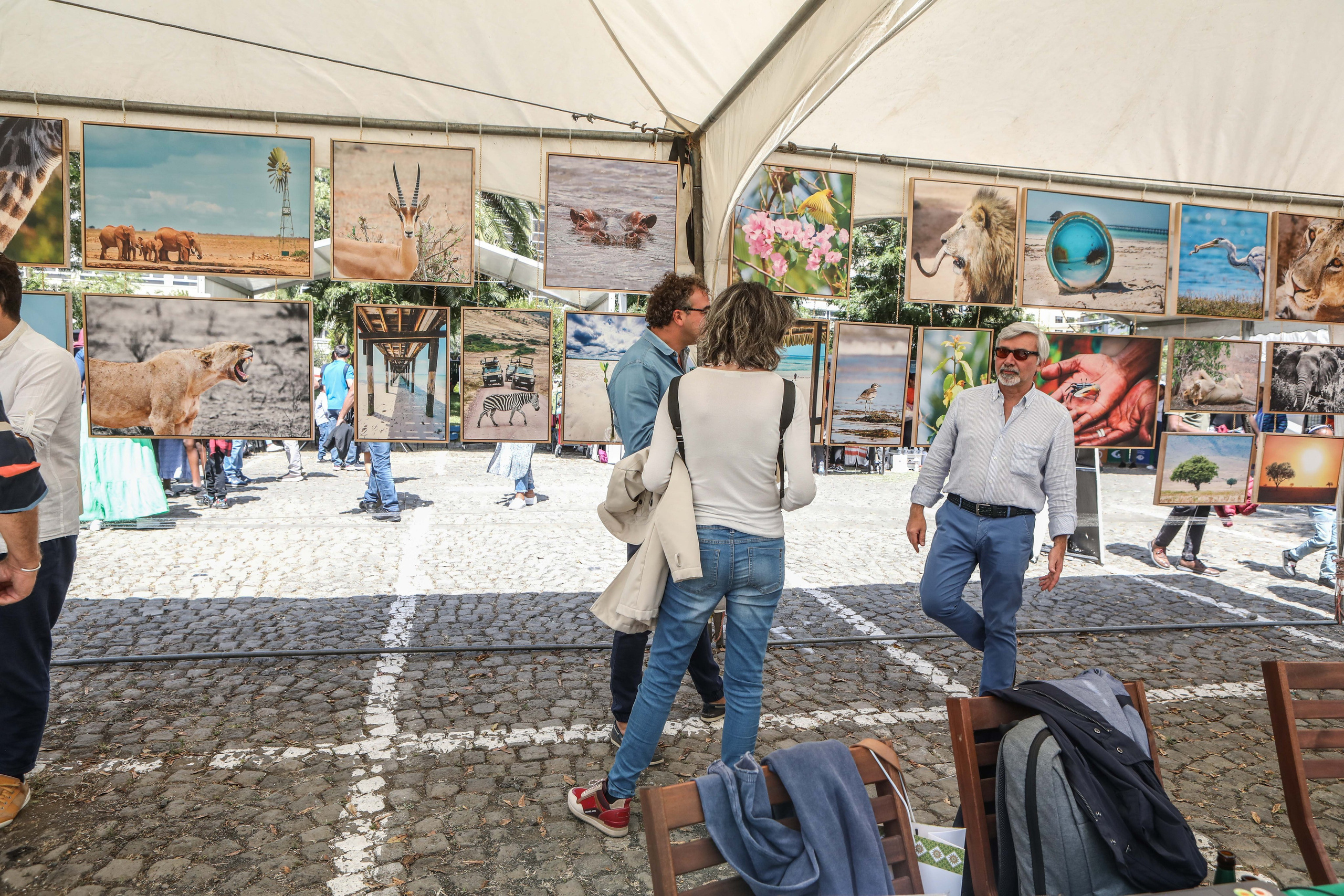 Charity Diplomatic Bazaar. Documentary, lifestile photographer in Morocco Marina Chaikovskaia