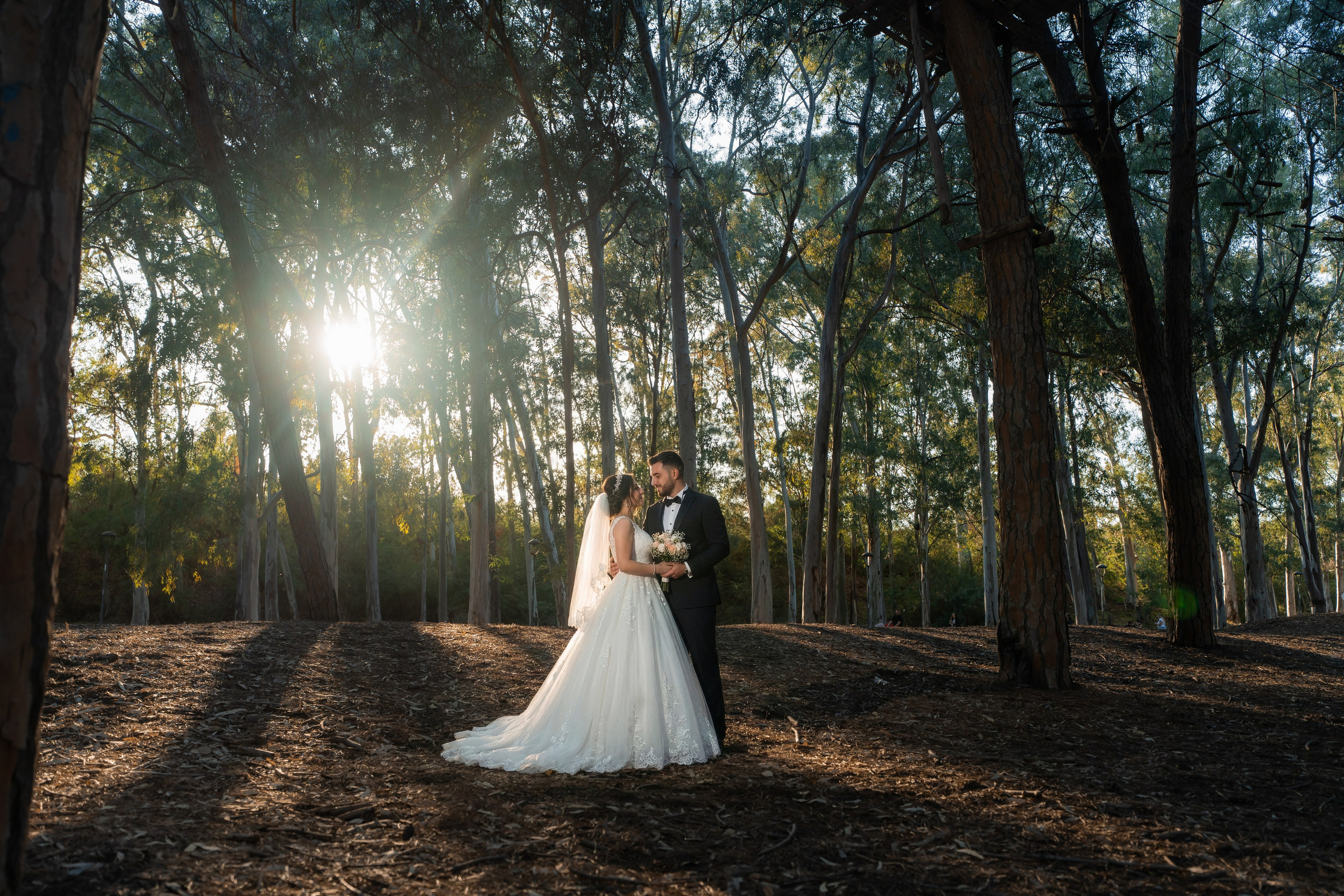 MSZen Production — fotografia e video professionale a Catania