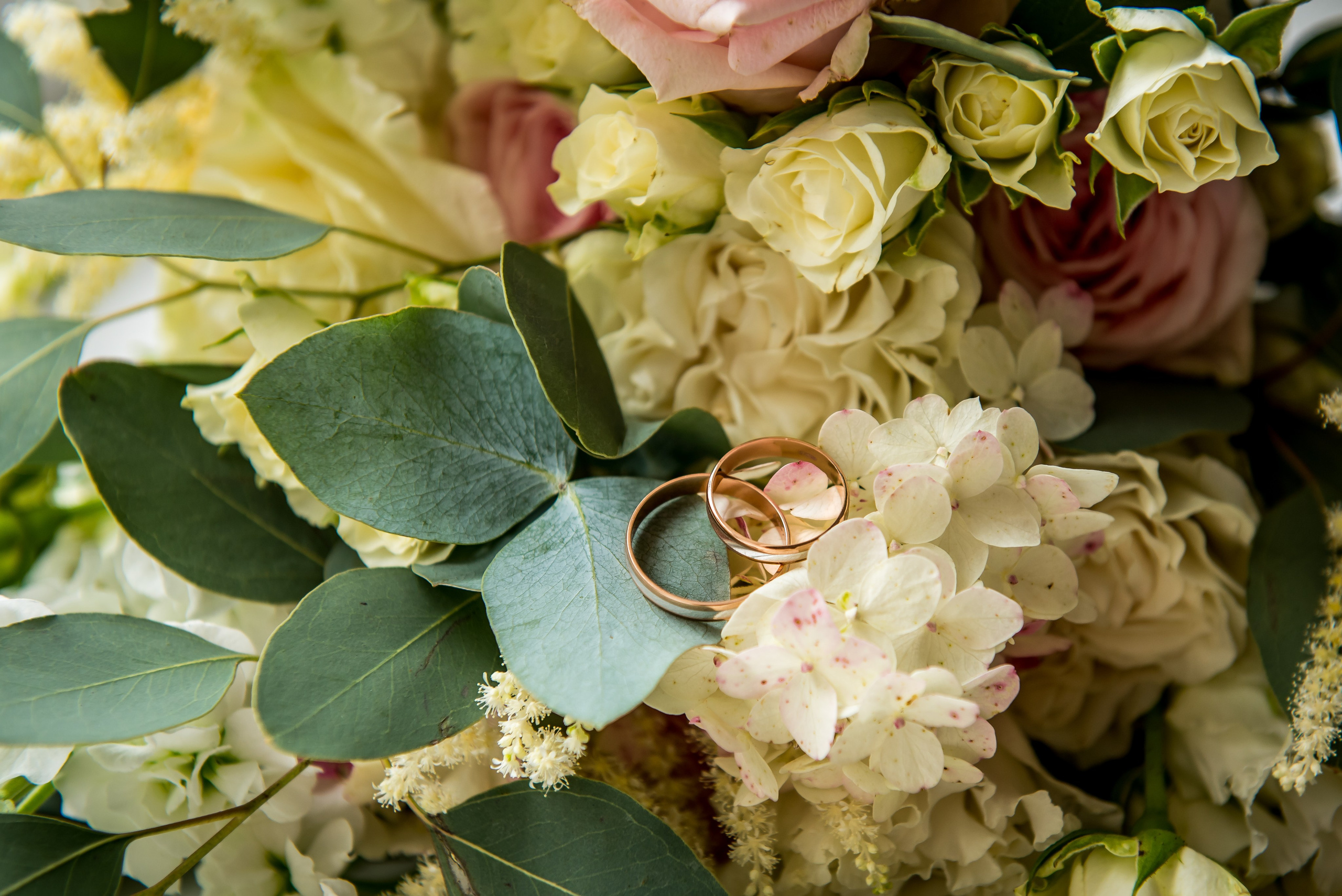 Vladislav and Sandra, Daugavpils. Свадебный фотограф. Европа. Свадьба. Латвия