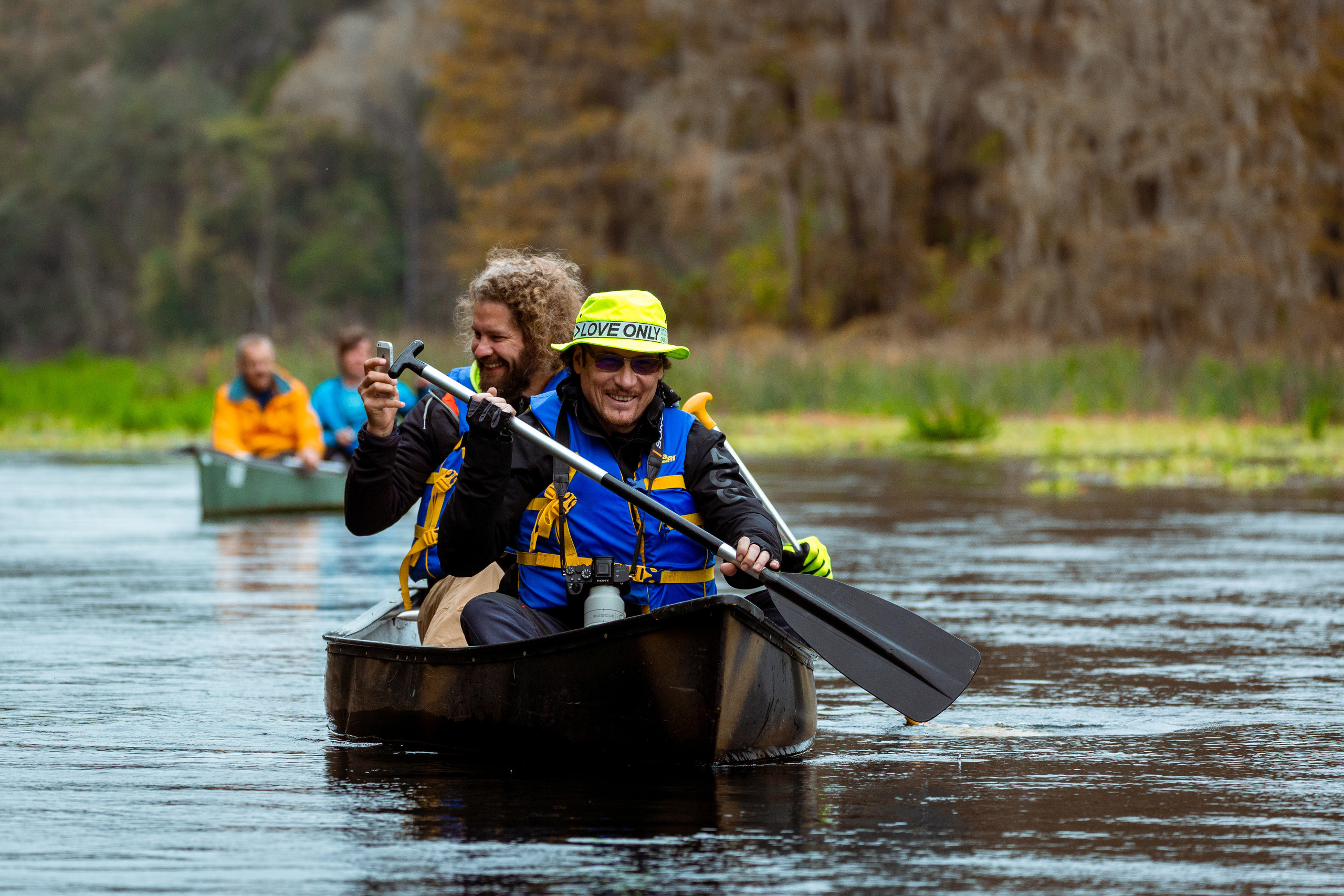 Cypresses, Springs, Birds and Alligators. Pet, Senior, Landscape, portrait studio, photographer in Miami and Sou