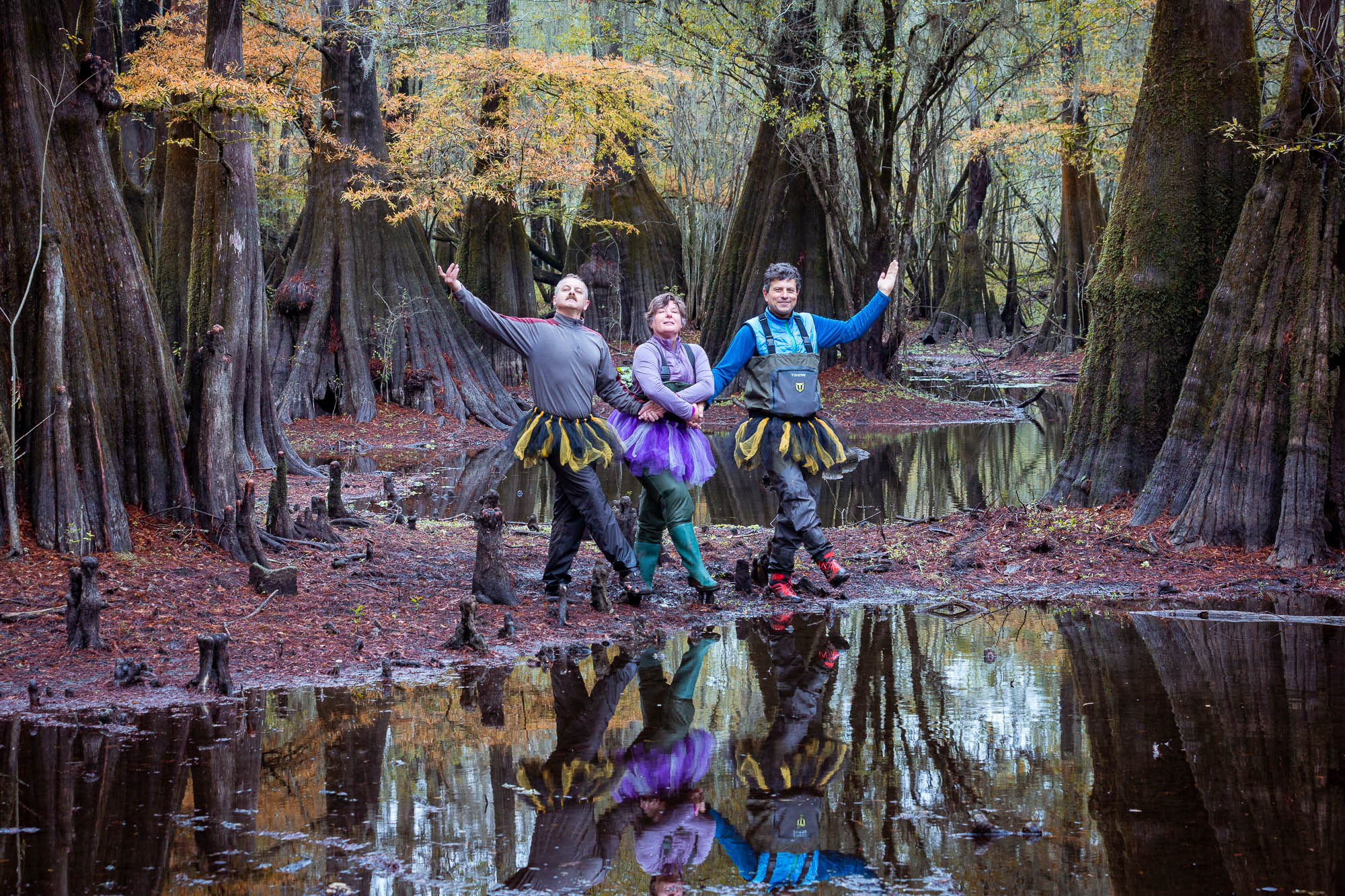 Cypresses, Springs, Birds and Alligators. Pet, Senior, Landscape, portrait studio, photographer in Miami and Sou