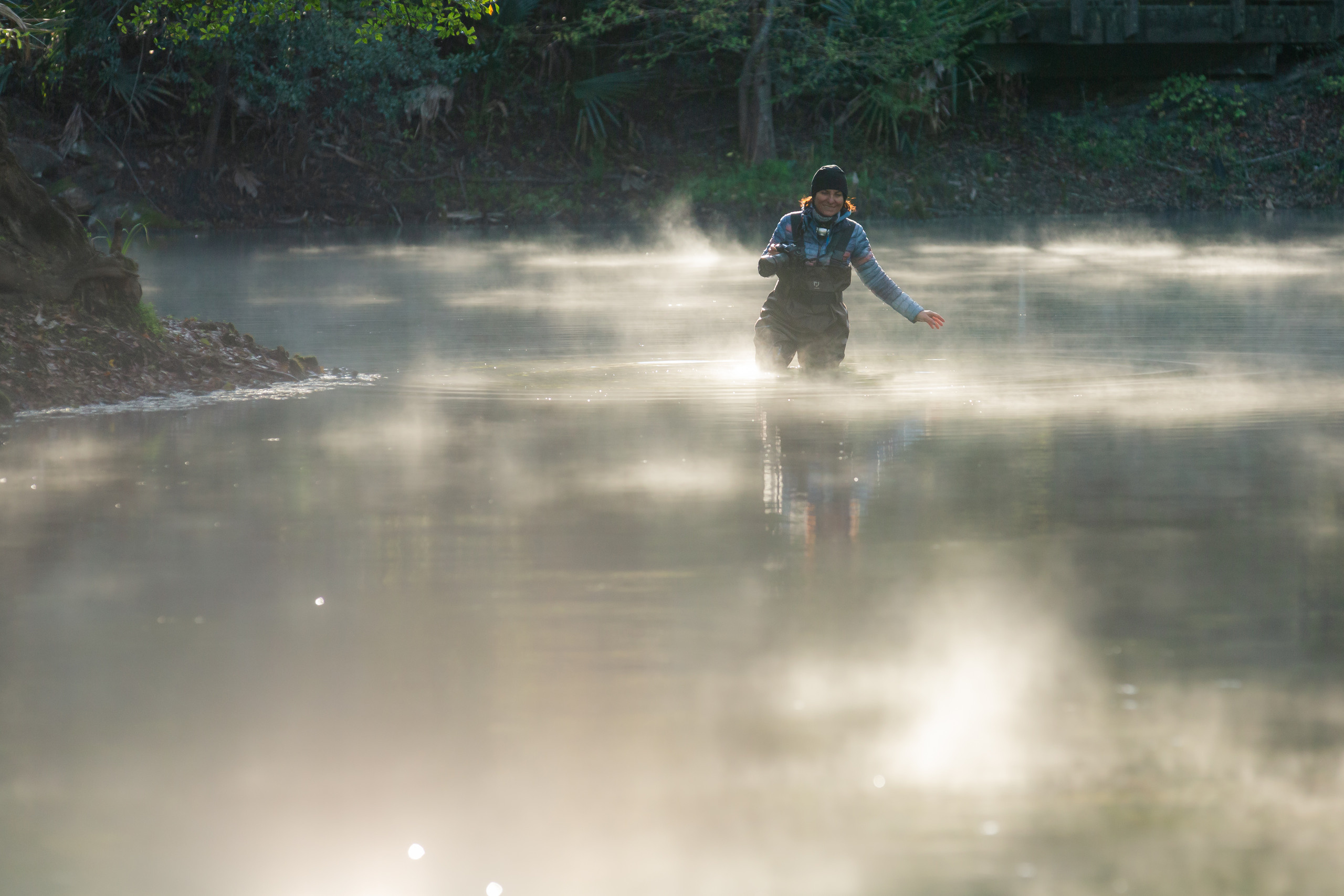 Cypresses, Springs, Birds and Alligators. Pet, Senior, Landscape, portrait studio, photographer in Miami and Sou