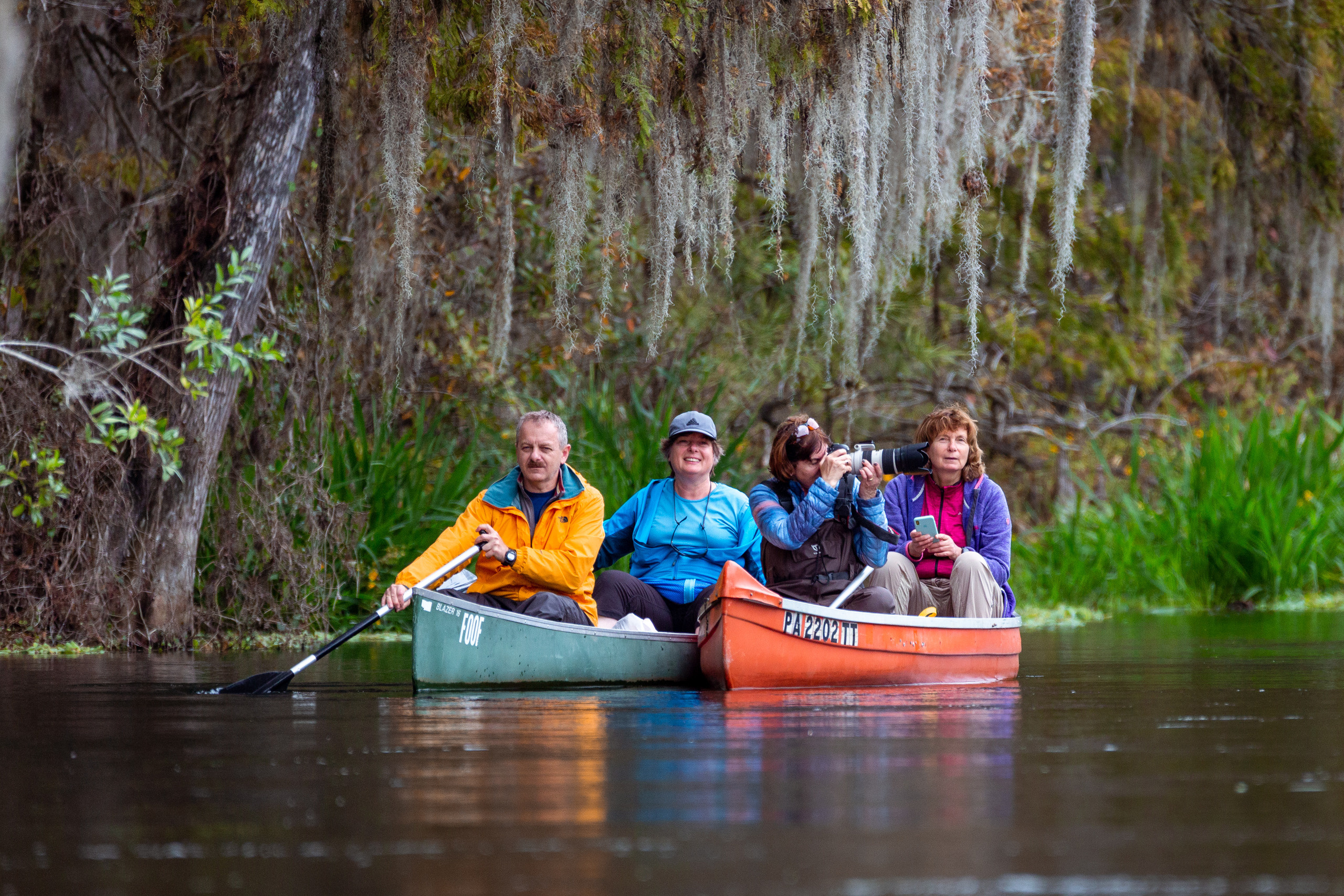 Cypresses, Springs, Birds and Alligators. Pet, Senior, Landscape, portrait studio, photographer in Miami and Sou