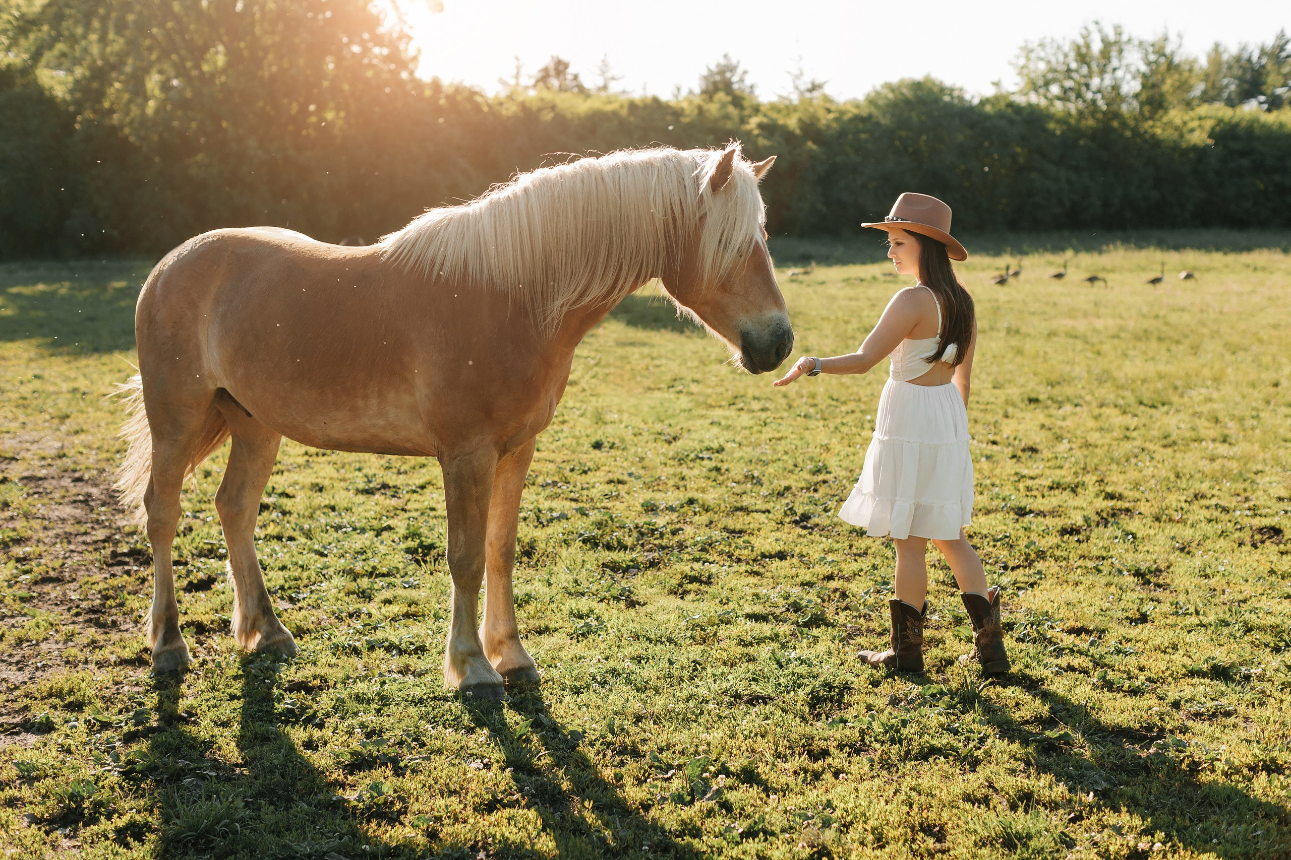 30.05.24 Family Photoshoot. Wedding family event photographer in Chicago Nick Yushevich