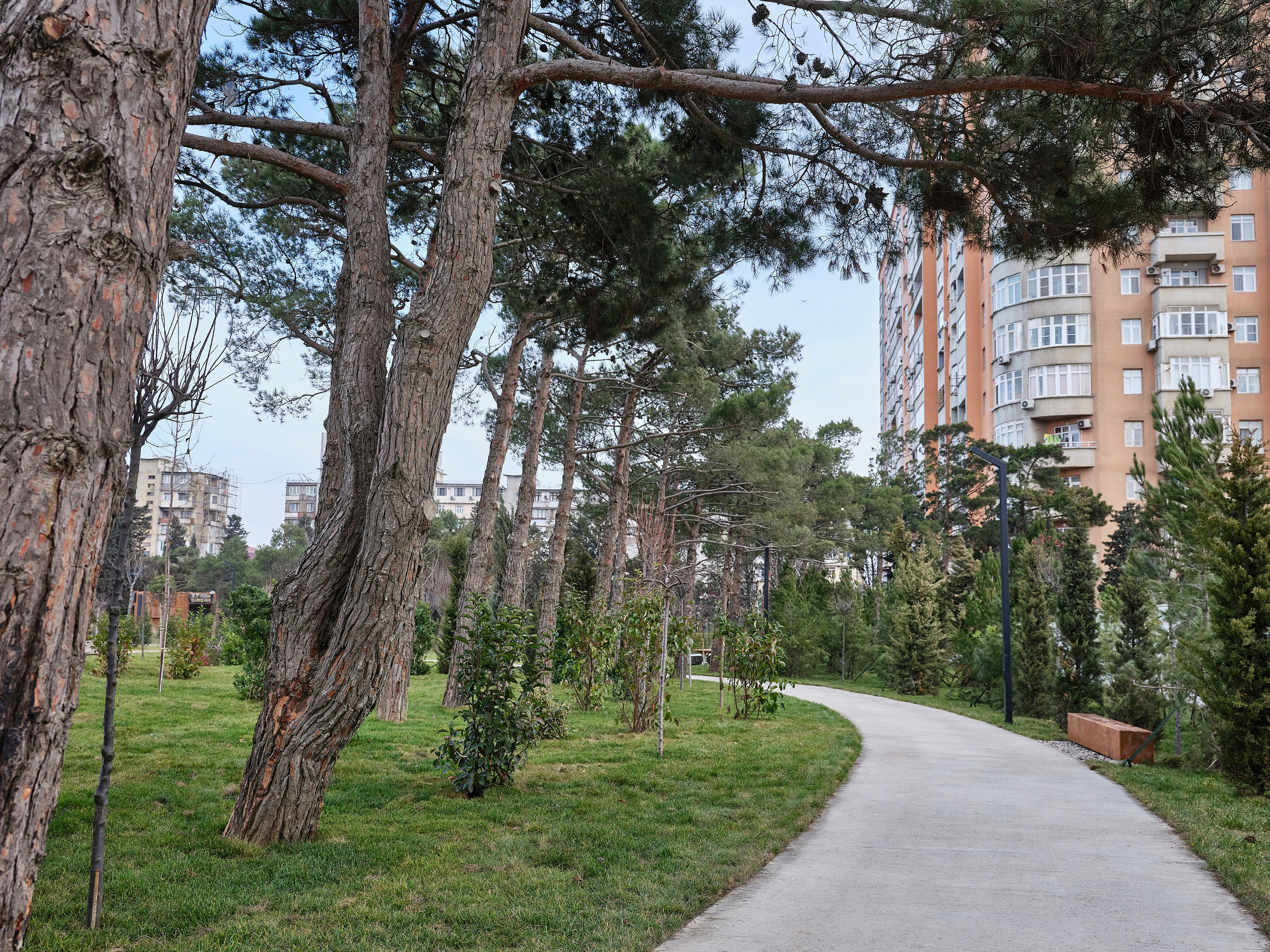 Alatava park. Elmar Mustafazadeh Photography