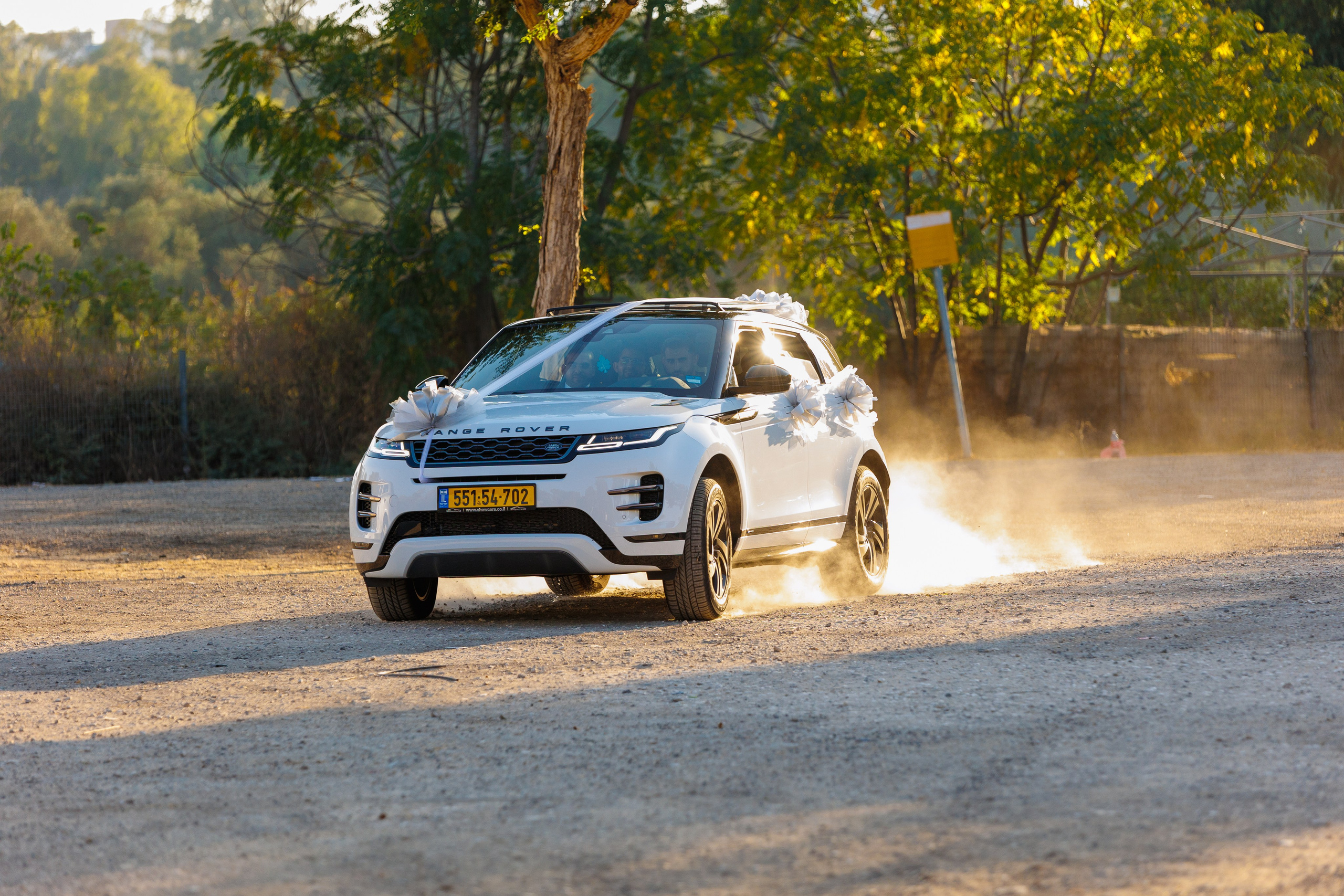 T&D. משה מנשה צלם חתונות