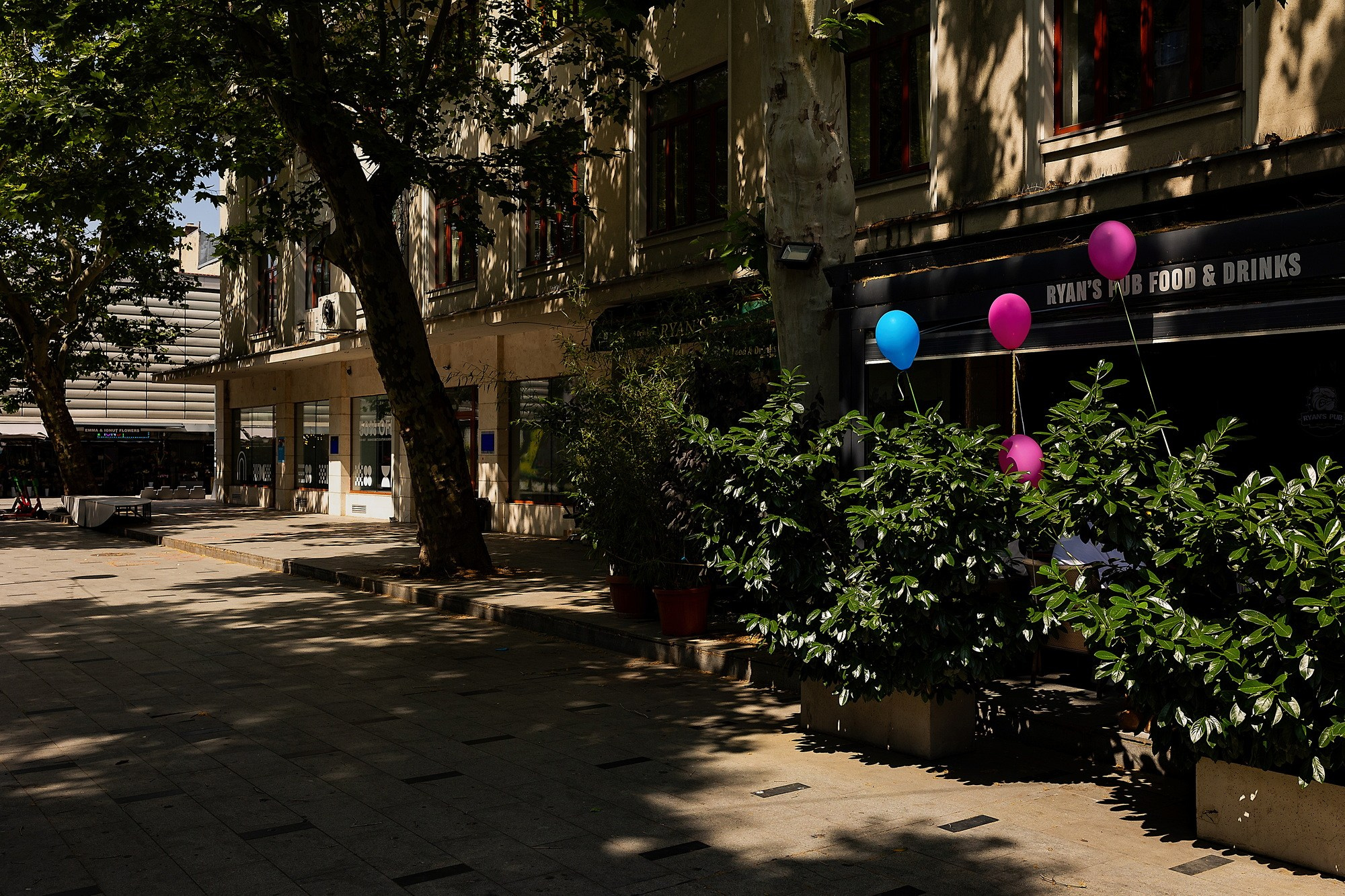 Urban Wander. A Creative Insight | Catalin Nastase