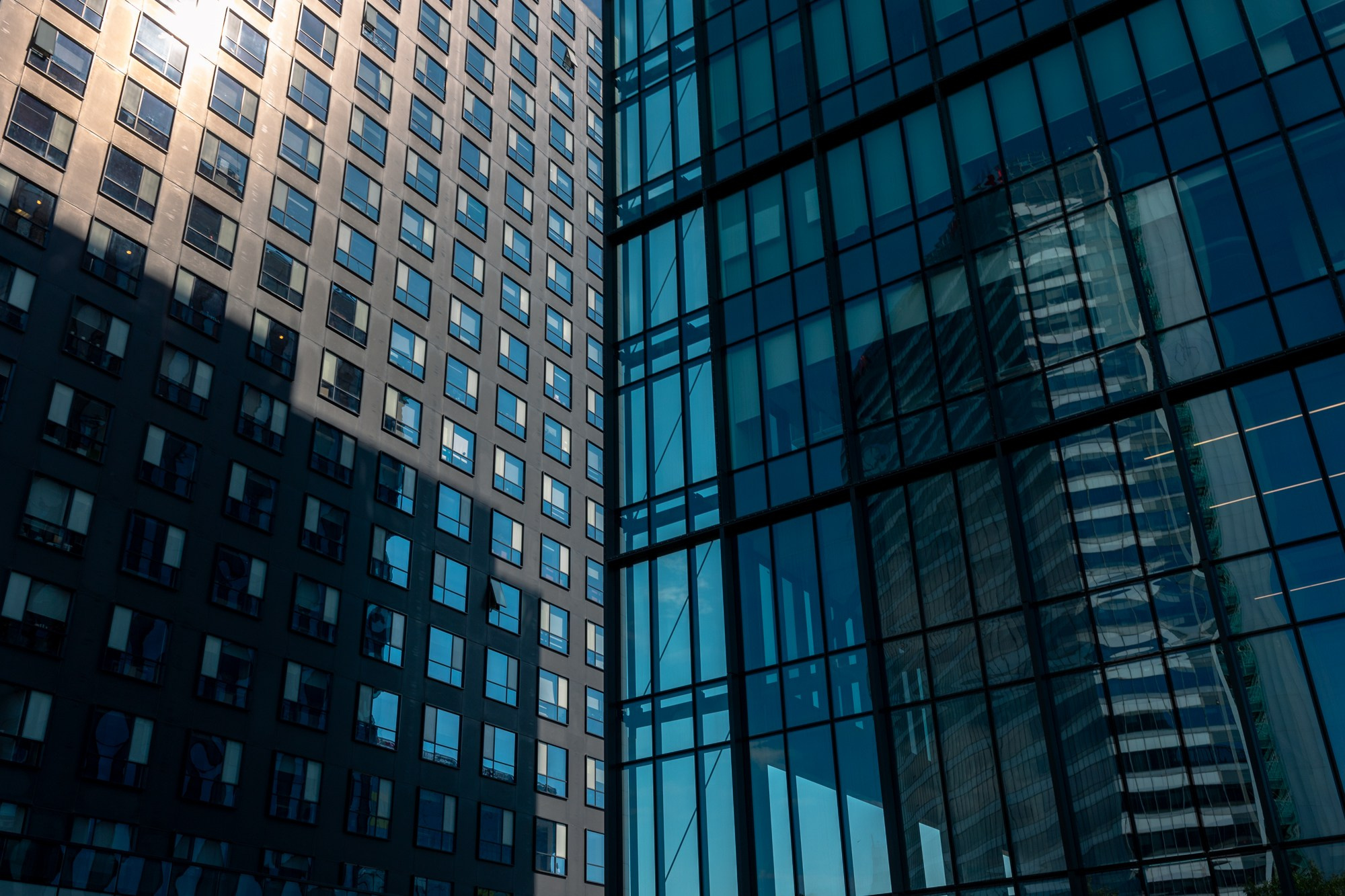 The Grid. A Creative Insight | Catalin Nastase