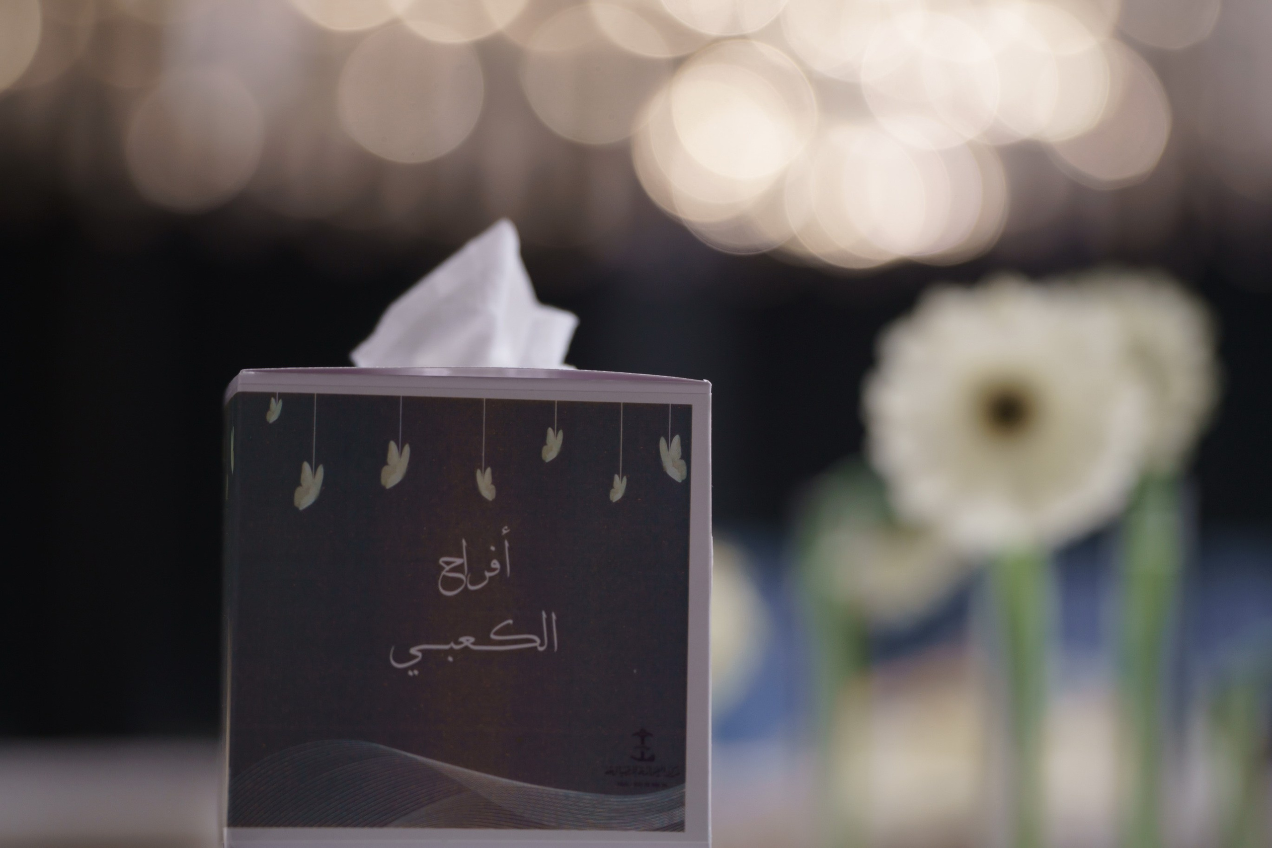 29/04/2023. Фотограф Анна Кучерявая | Свадьбы и мероприятия в Дубае