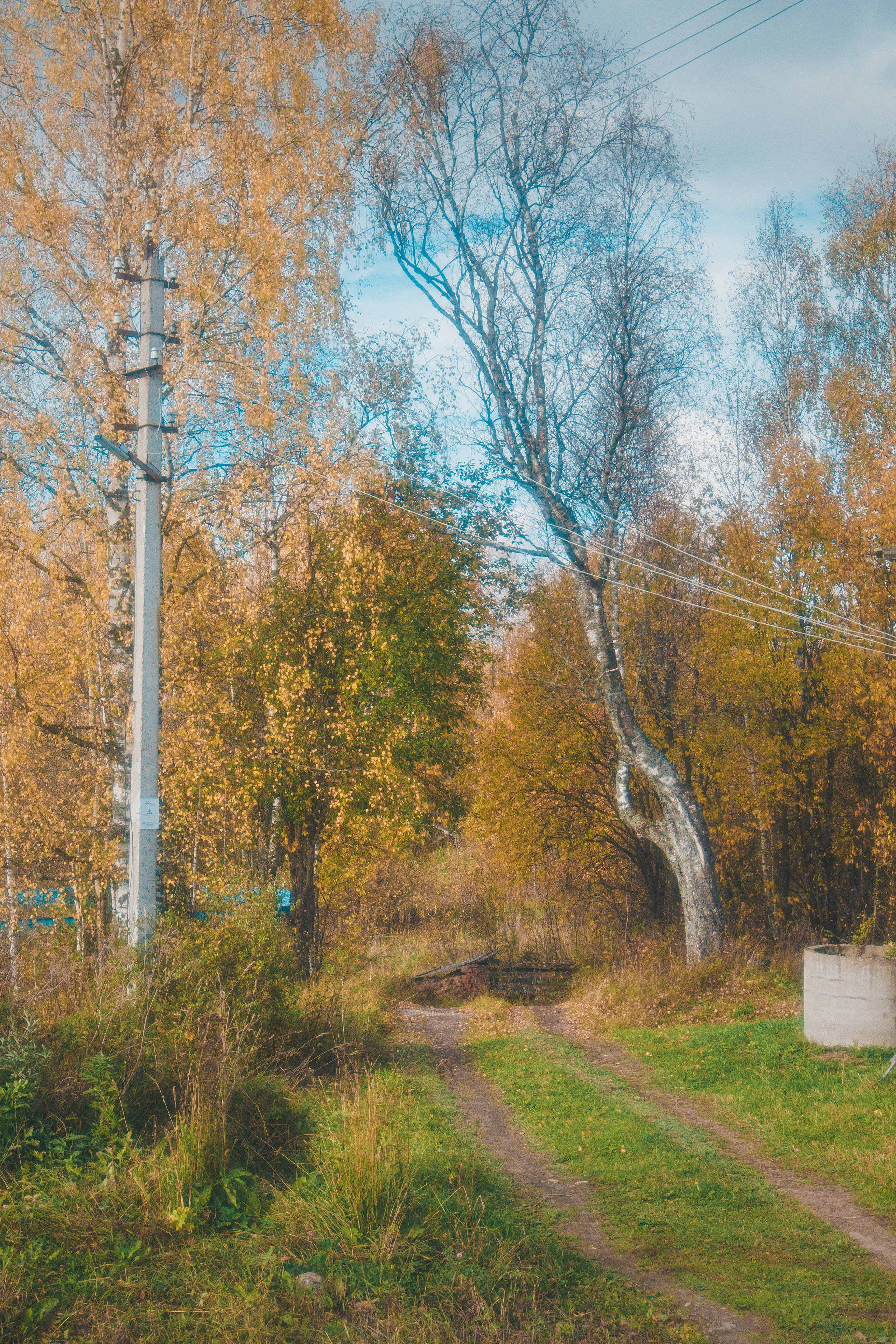 Морозово.2023. «Фотохроники»