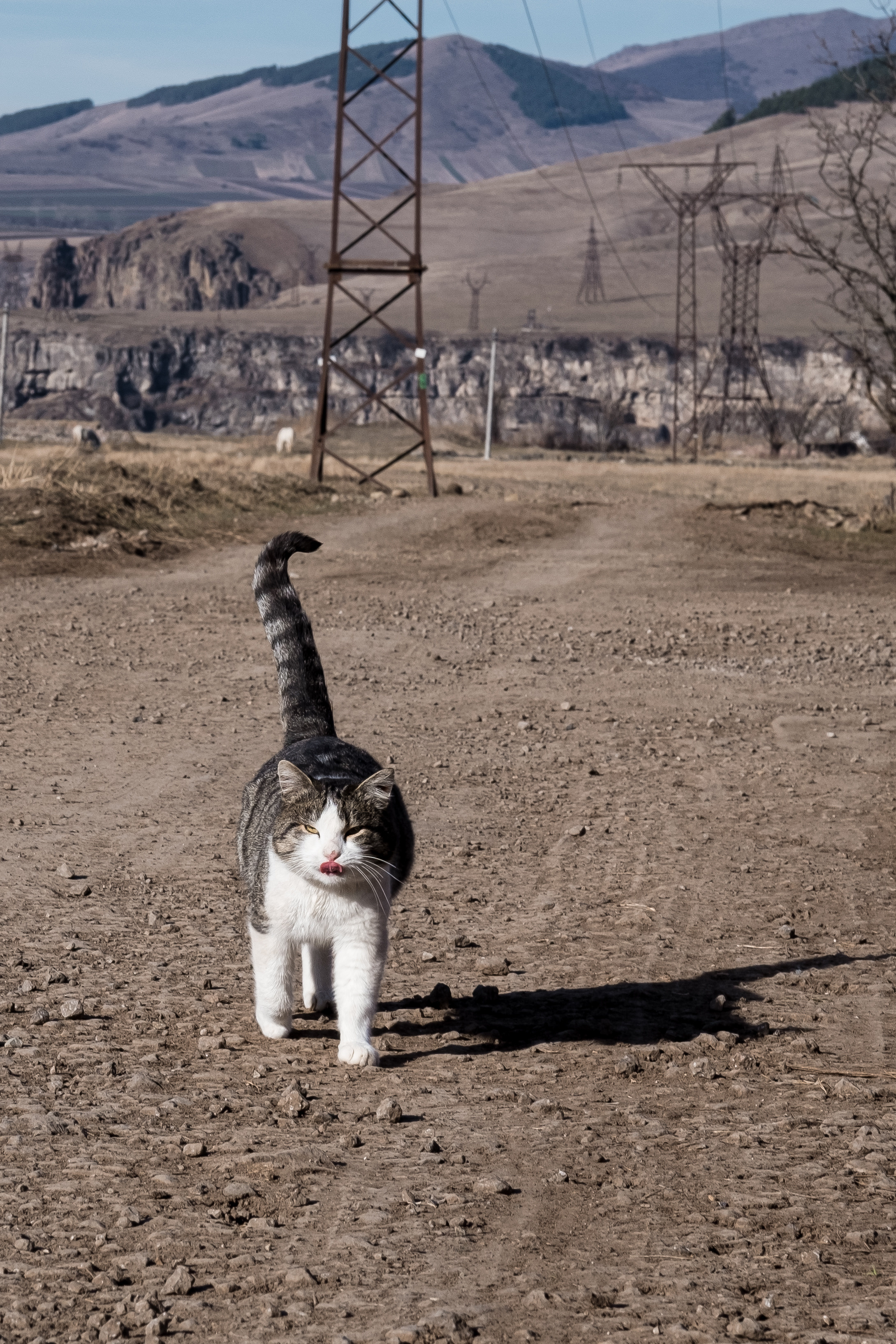 Armenia. December. Evgeko — photographer фотограф