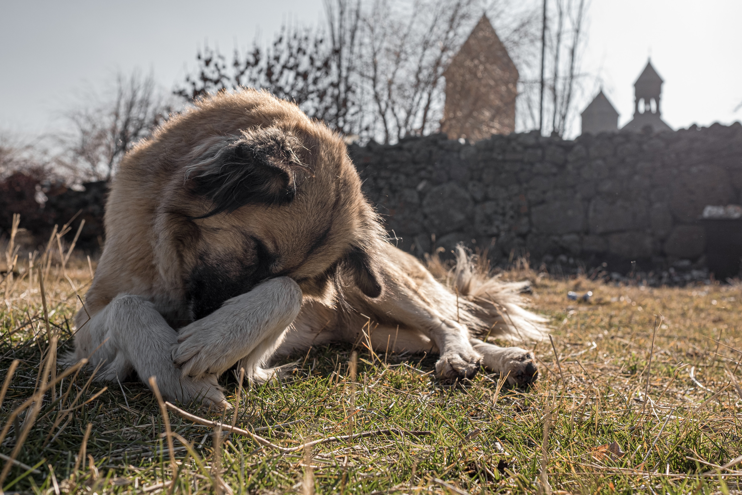 Armenia. December. Evgeko — photographer фотограф