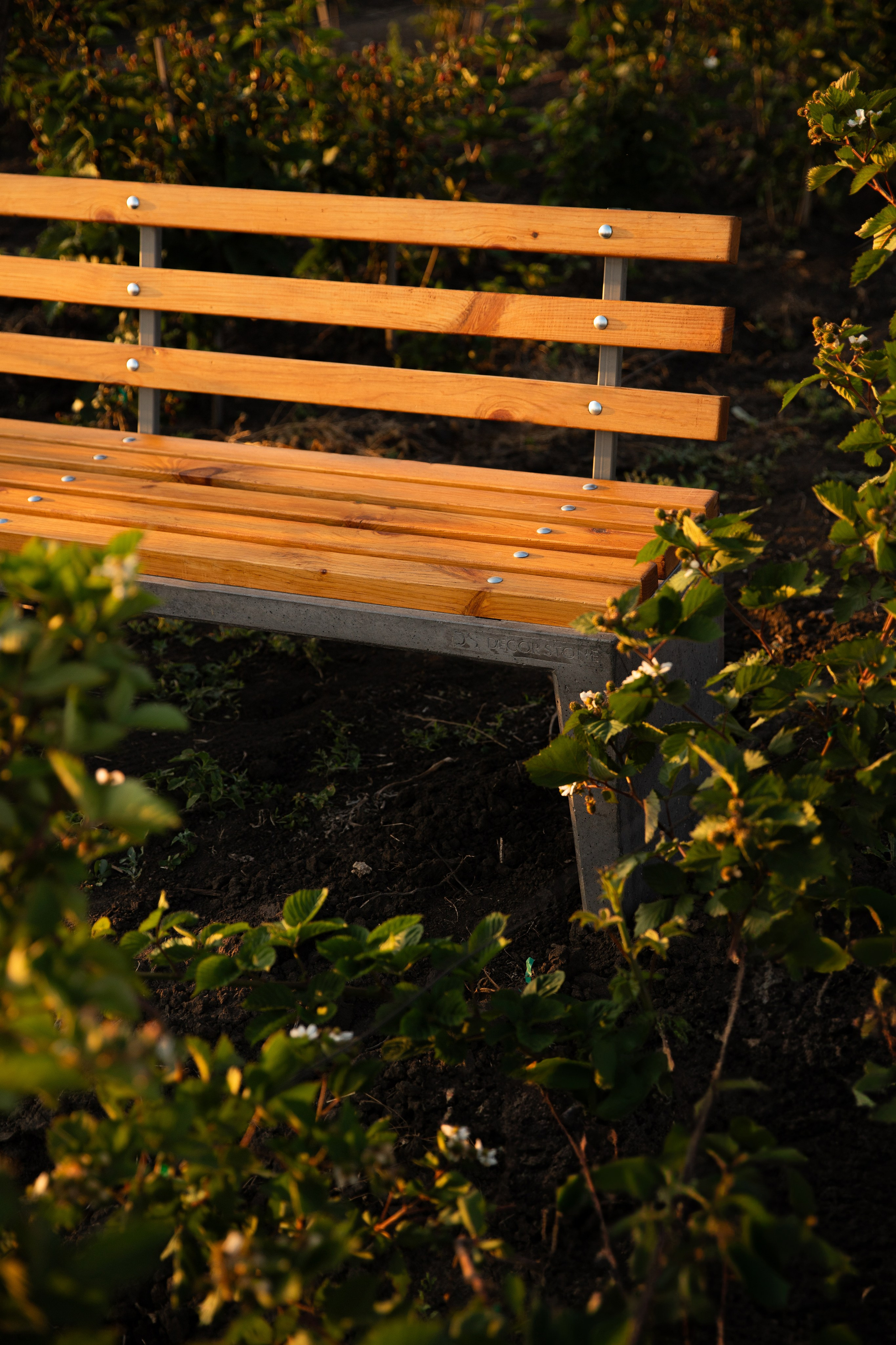 Companie „DecorStone”. Fotograf și Videograf | Chișinău, Moldova