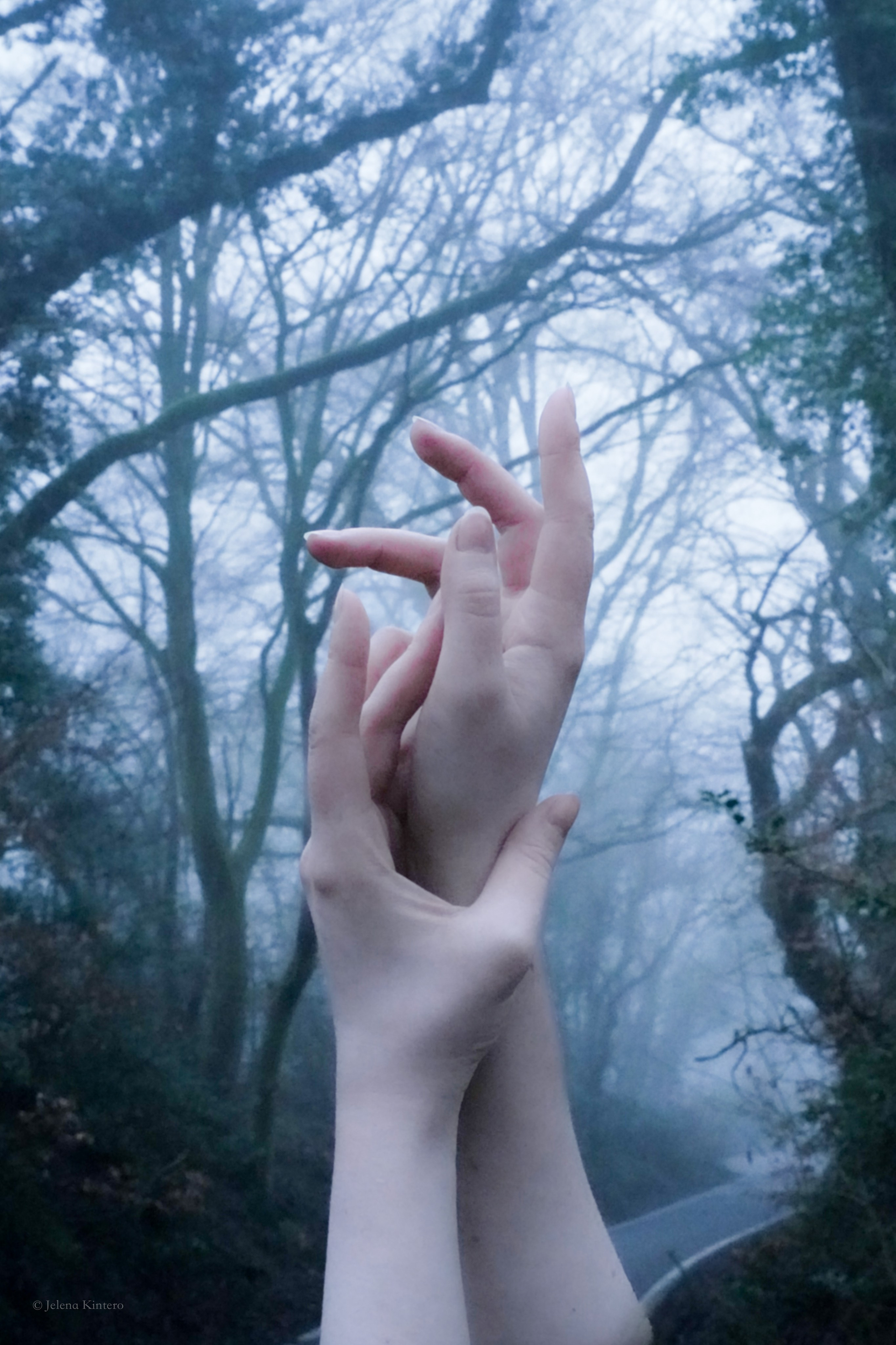 Creative Experiments. Jelena Kintero ART