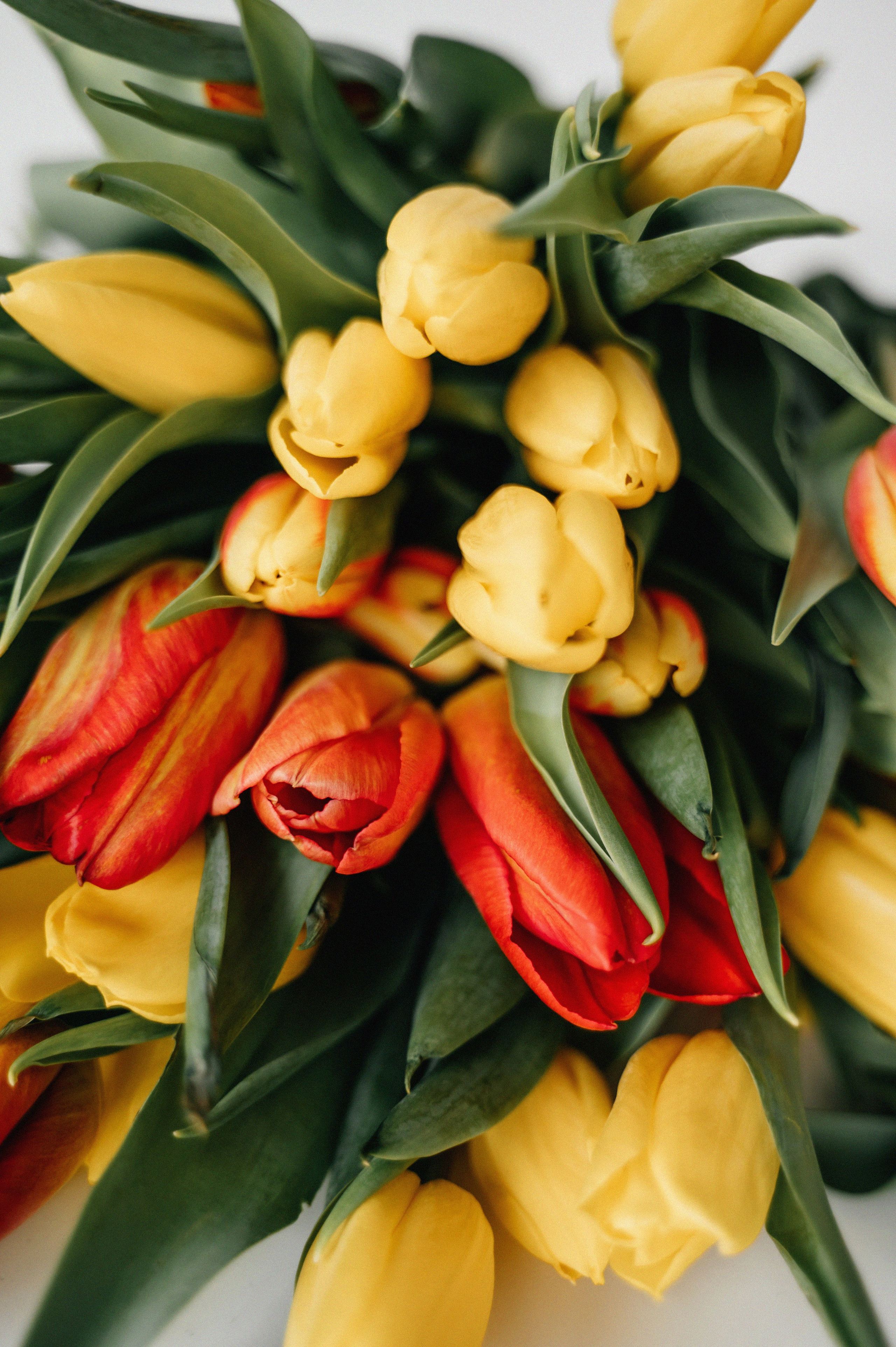 Студийная съемка Алла. Свадебный и портретный фотограф Юлия Пыльченко