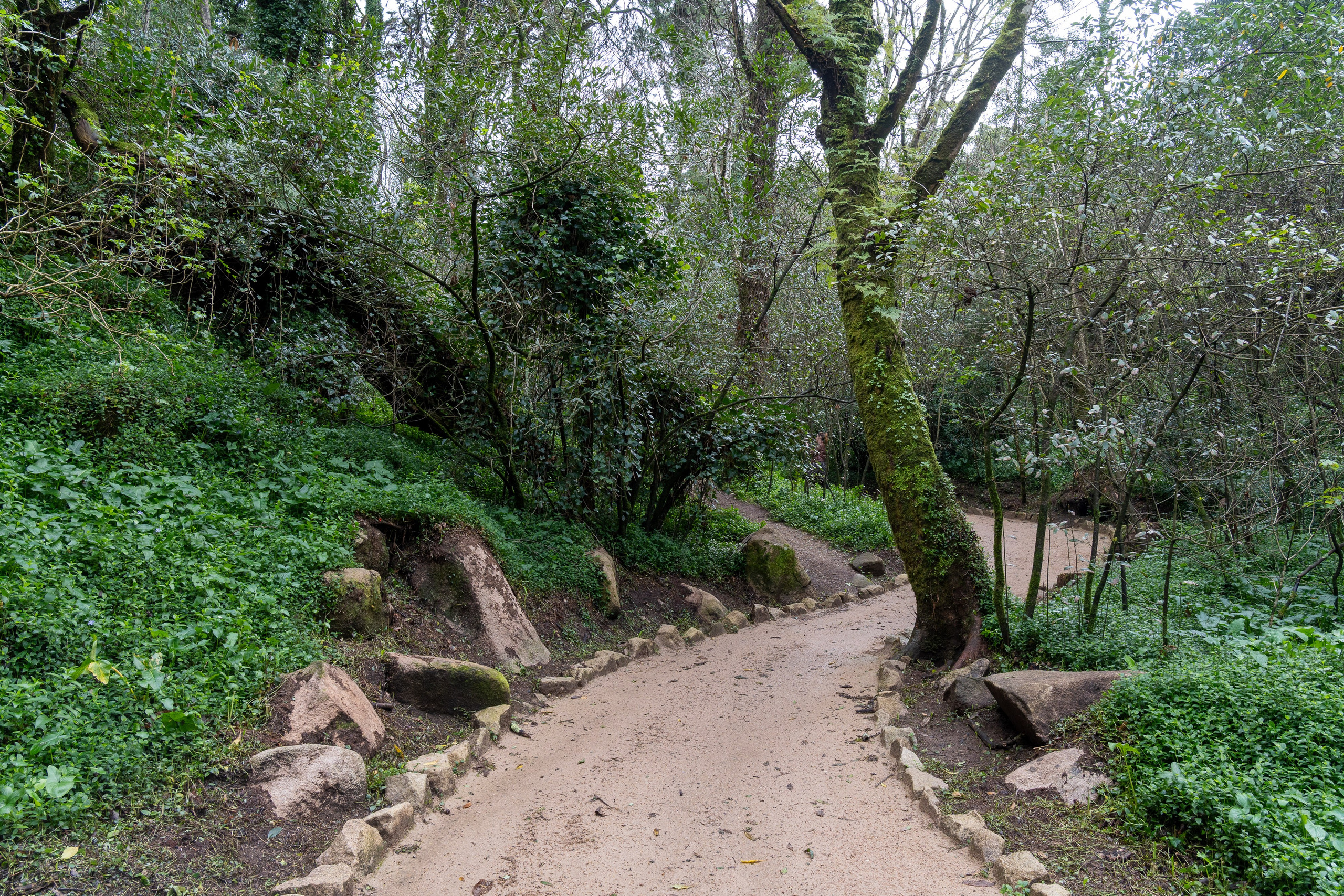 Lisabona 2025. Fotografiideplacere.net