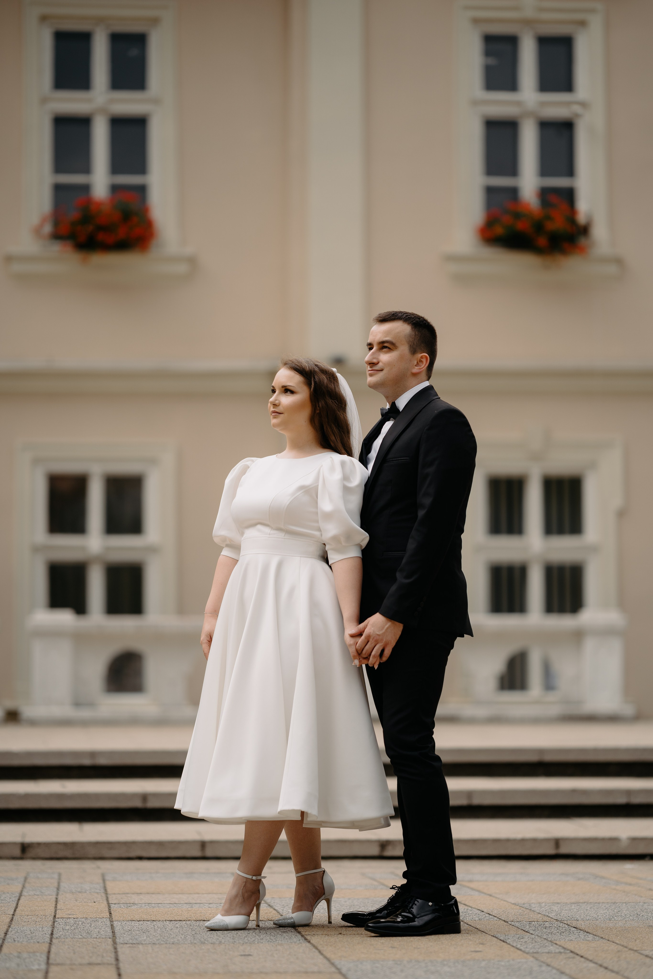 Stefan & Dorotea. NSJ — Wedding Studio