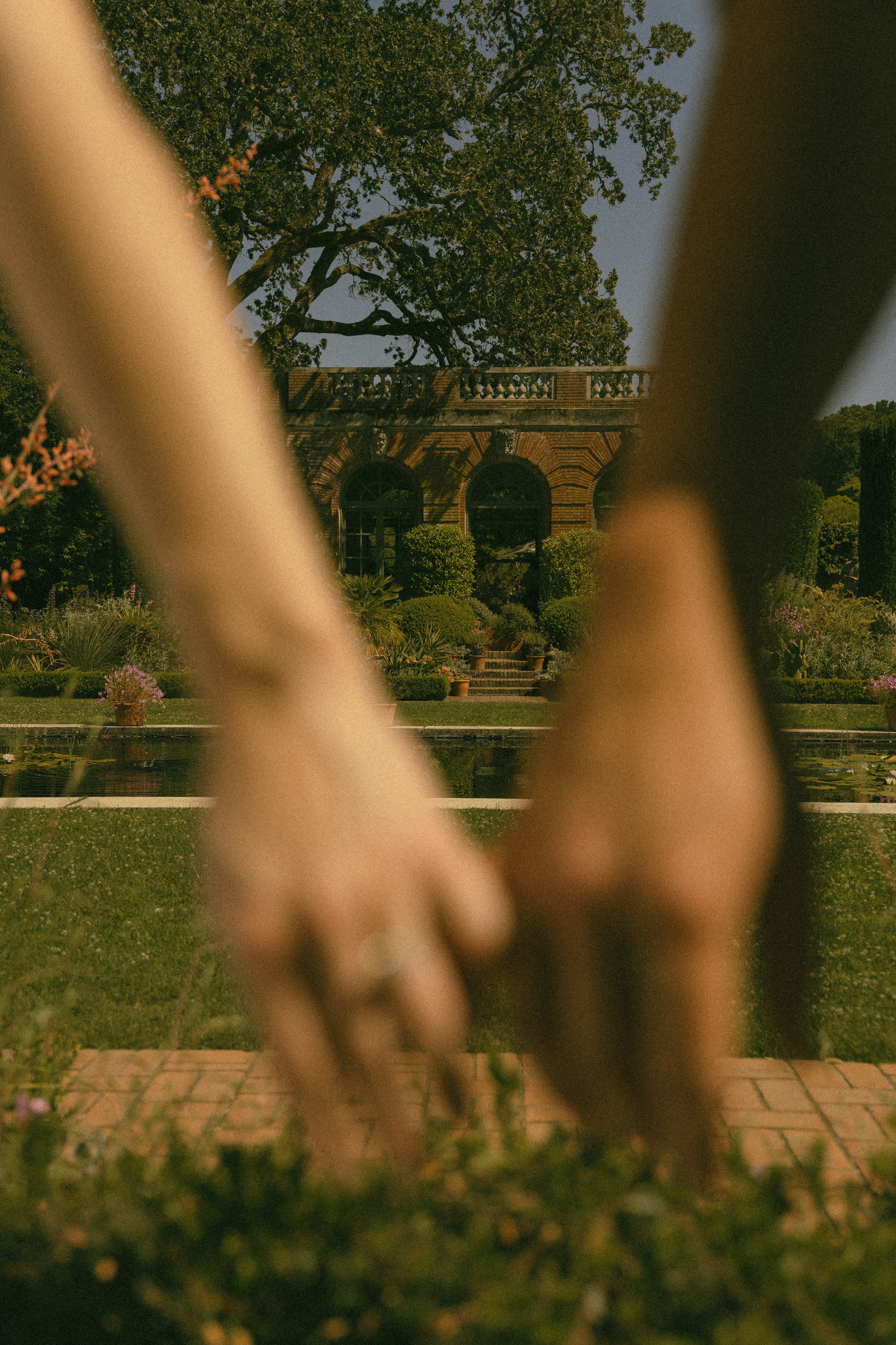 Engagement | Filoli Garden. Sacramento & Bay Area Candid Photographer | photography_of.nadia