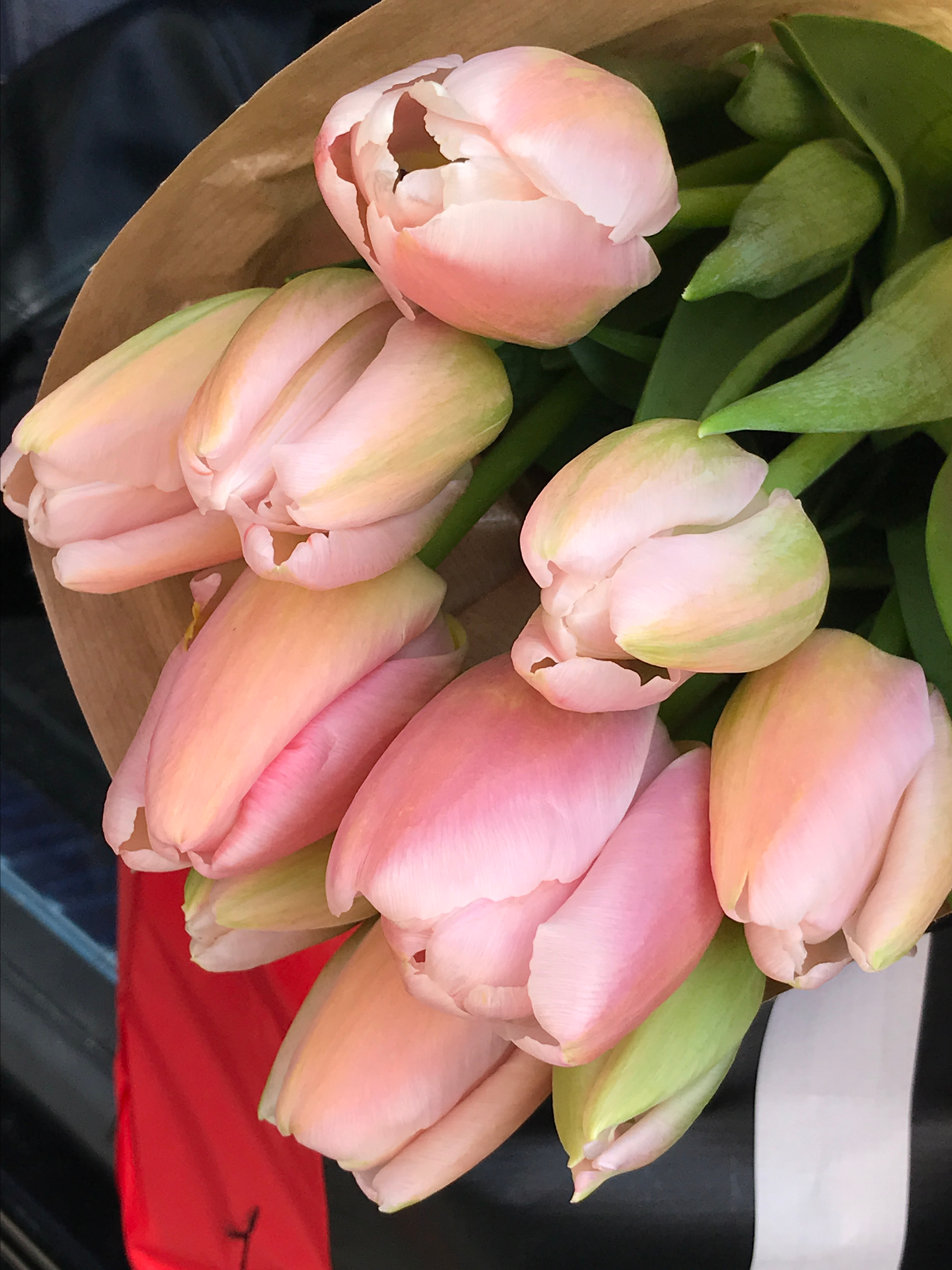 Vladislava. Фотограв в Испании Таррагоне