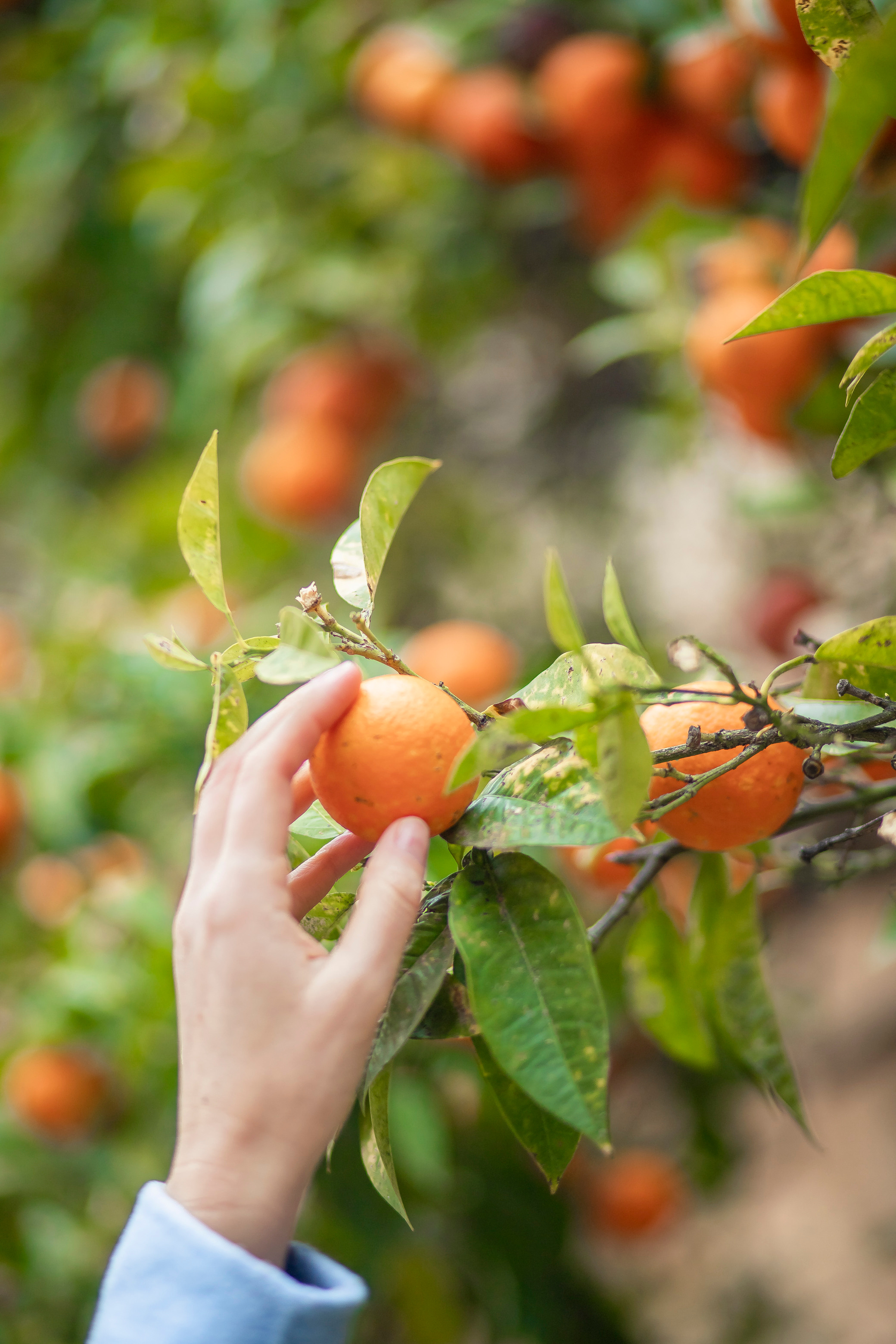 Anastasiya. Фотограв в Испании Таррагоне