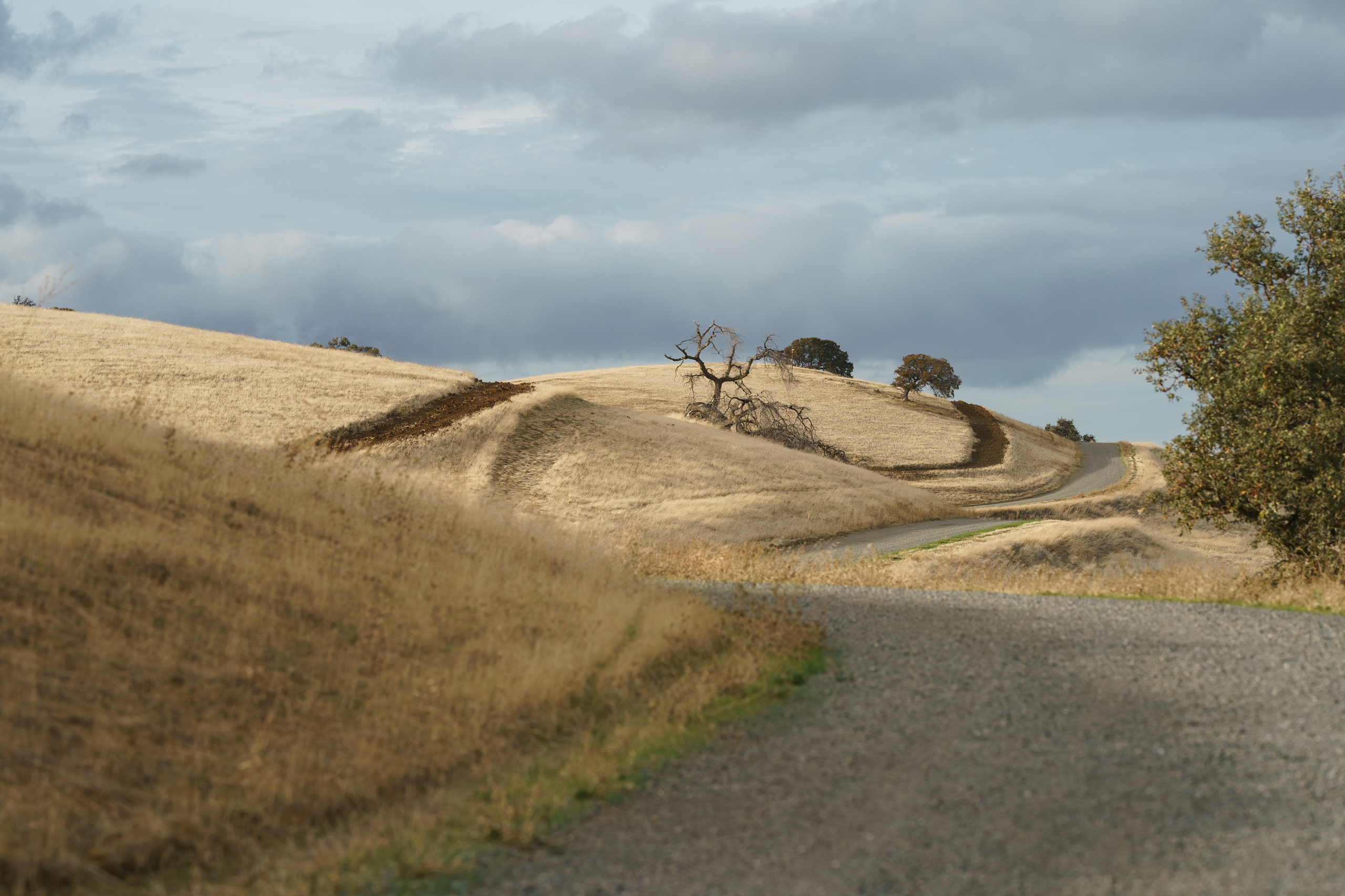 Los Vaqueros Reservoir. Tatiana Smirnova — Photographer